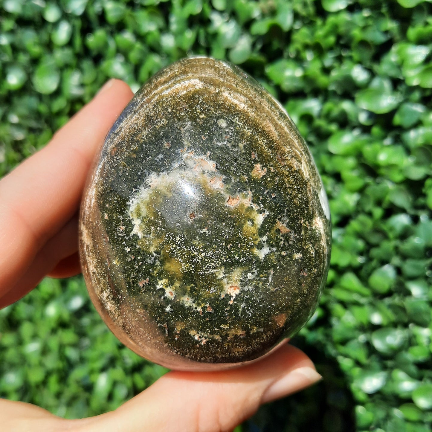 Ocean Jasper Egg