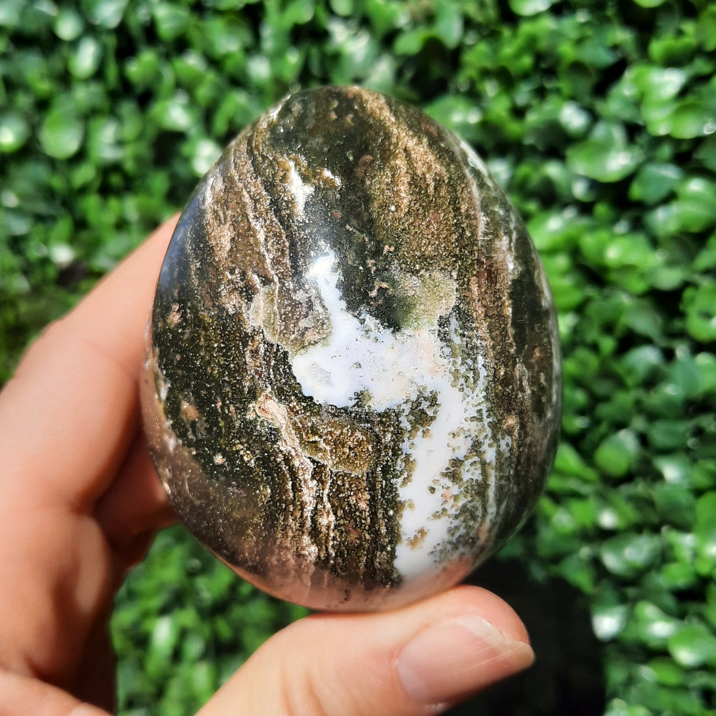 Ocean Jasper Egg