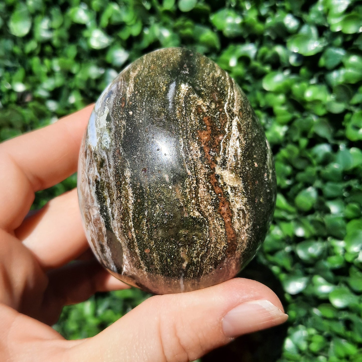 Ocean Jasper Egg