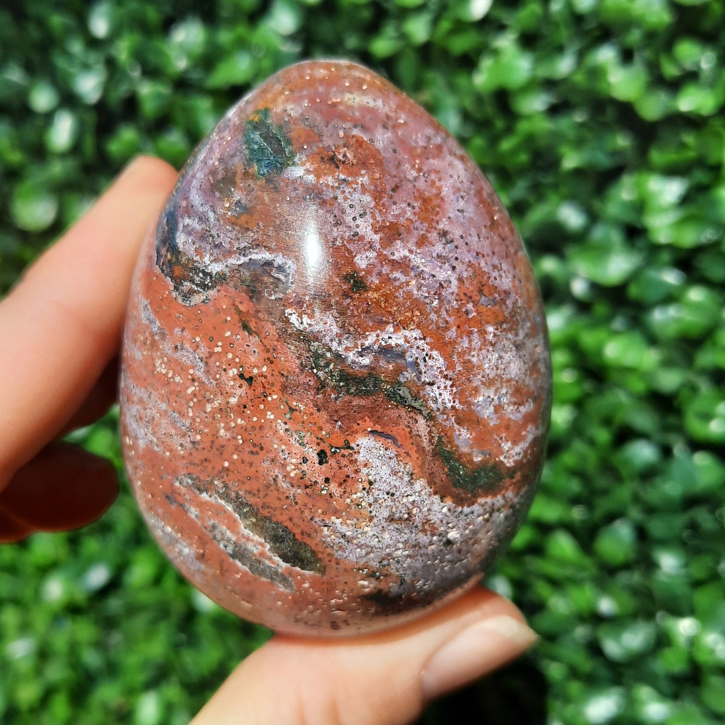Ocean Jasper Egg