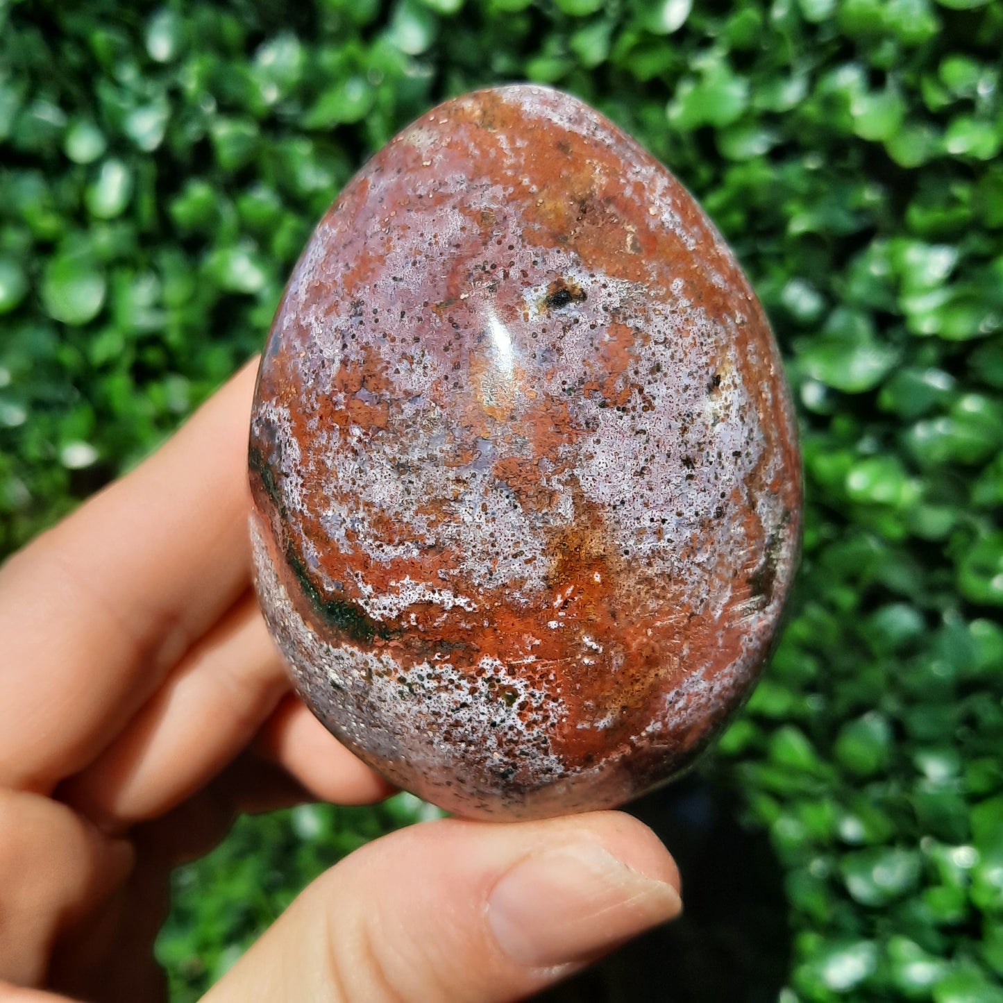 Ocean Jasper Egg
