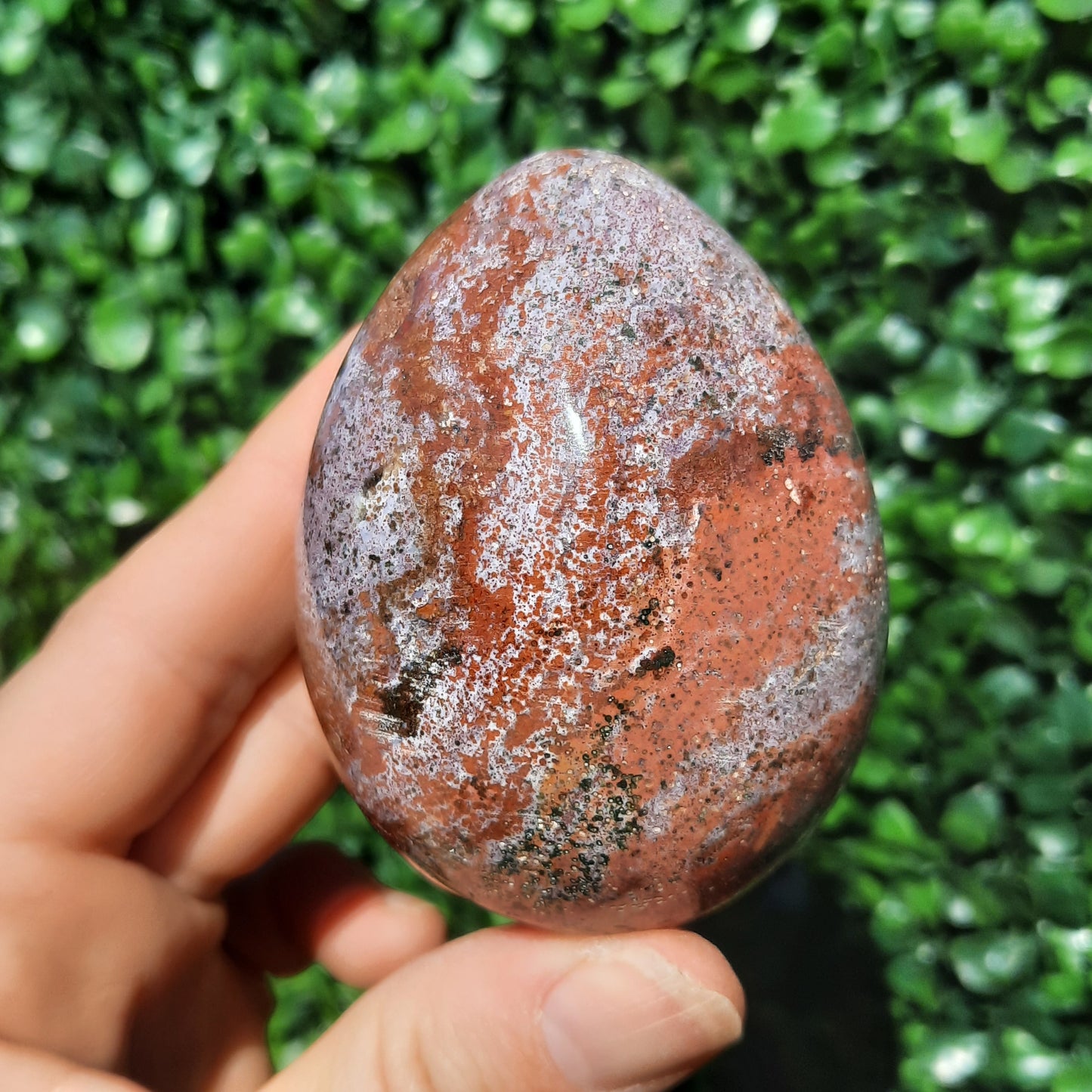 Ocean Jasper Egg