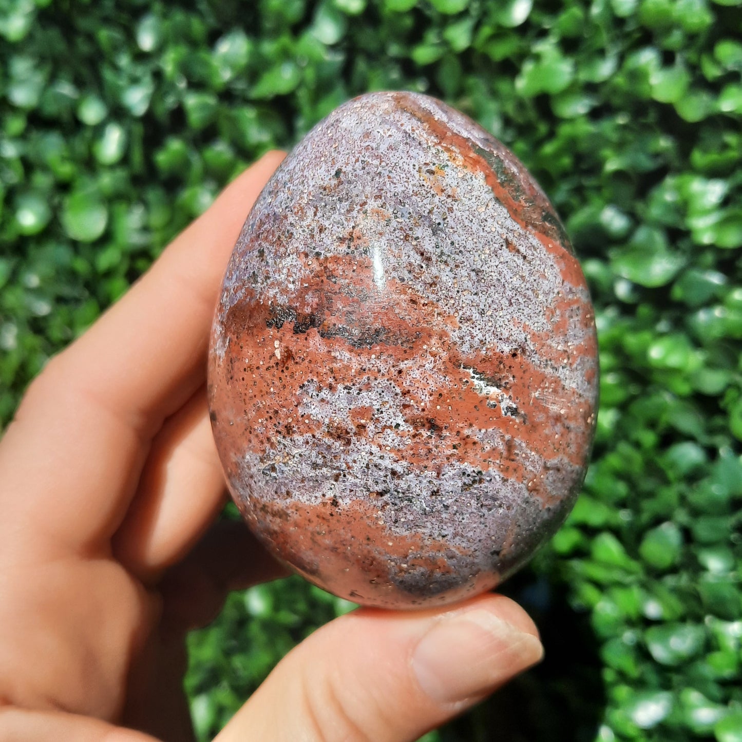 Ocean Jasper Egg