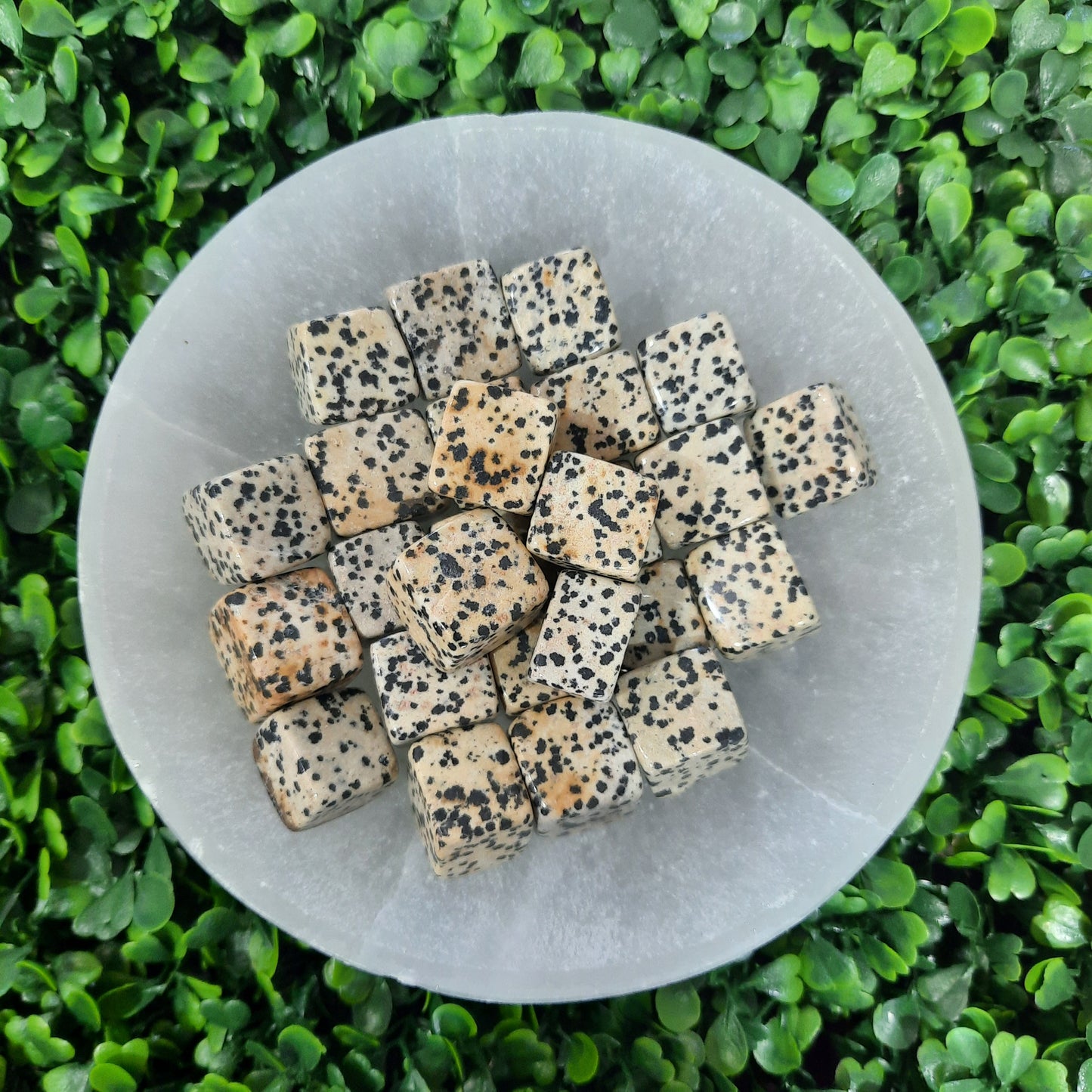 Dalmation Jasper Cube Tumble’s
