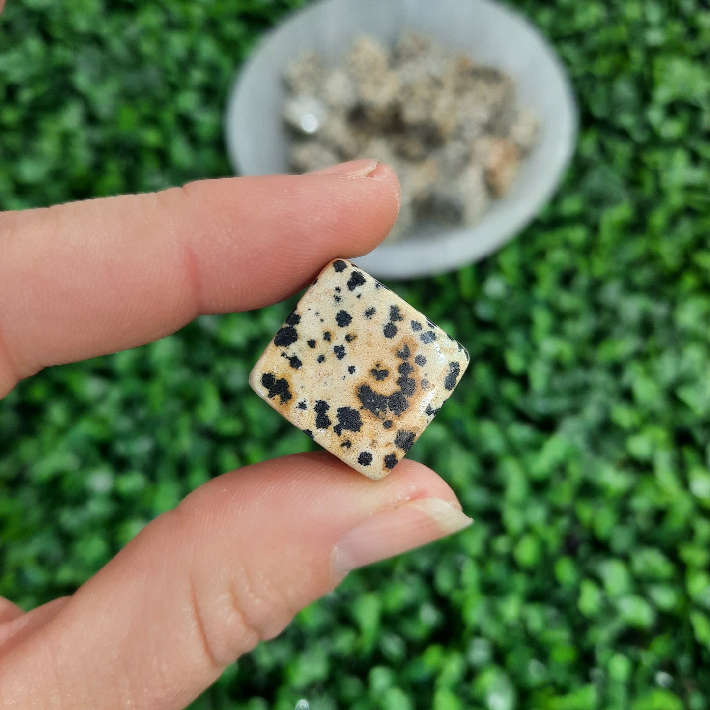 Dalmation Jasper Cube Tumble’s