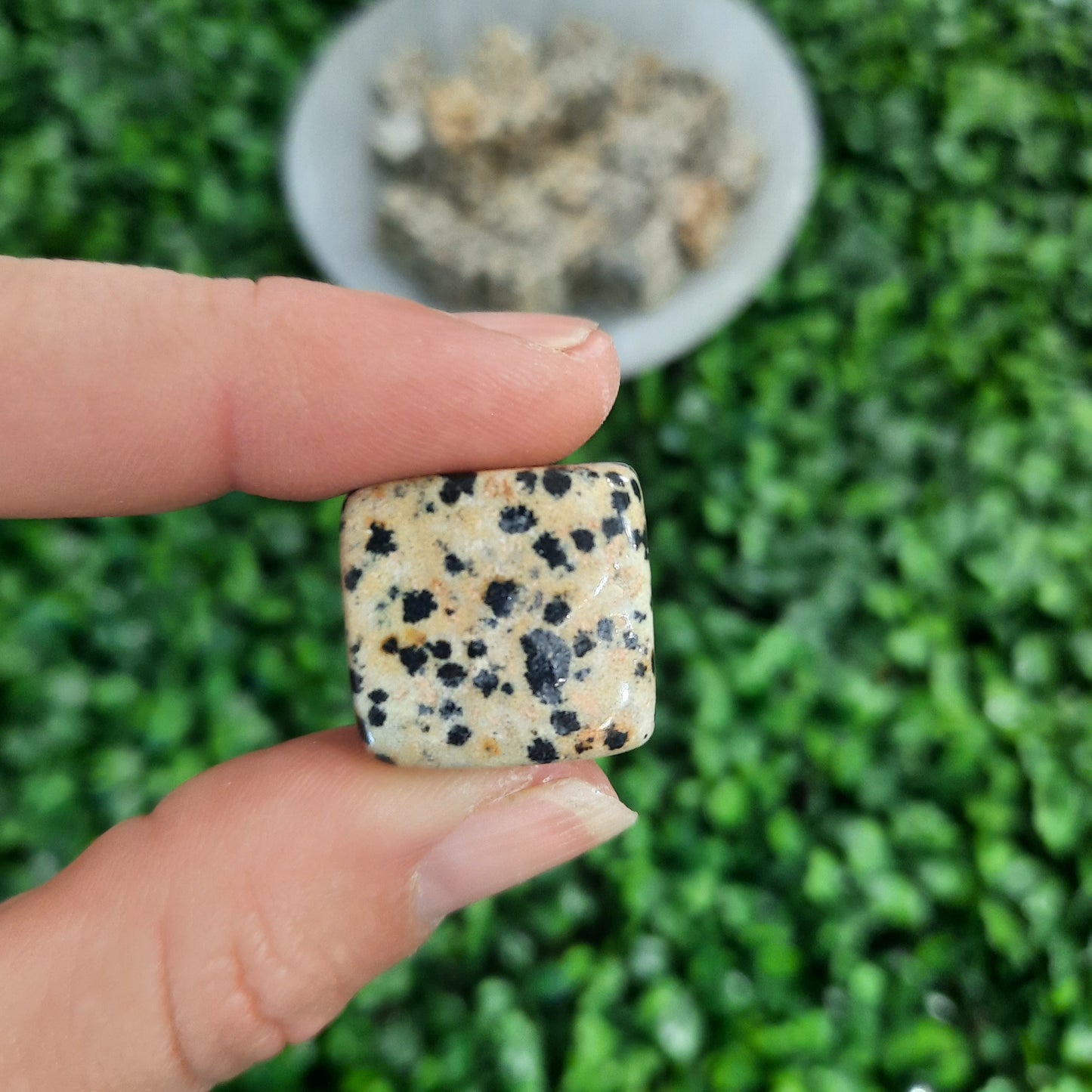 Dalmation Jasper Cube Tumble’s
