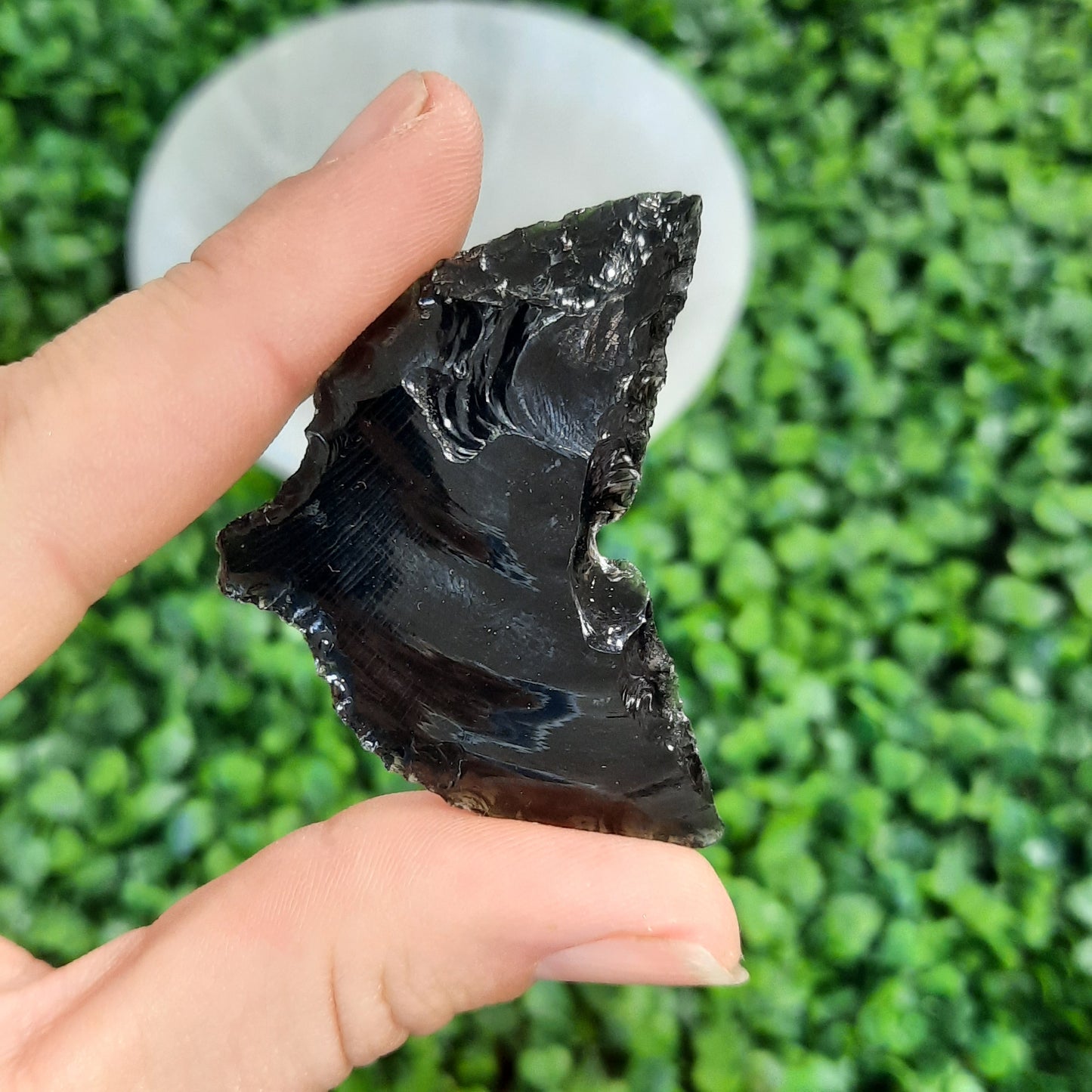 Black Obsidian Whale Tails