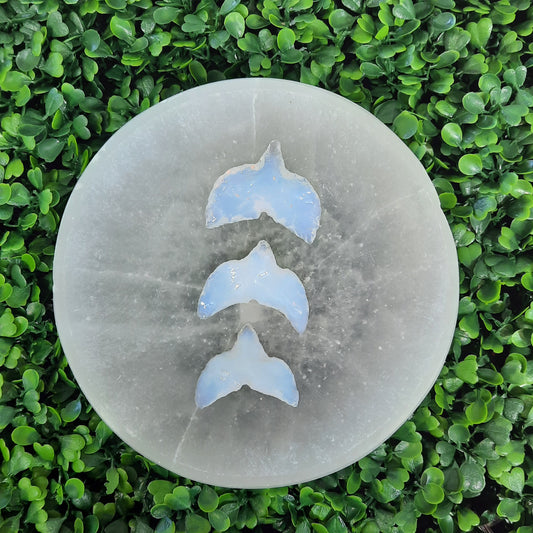 Opalite Whale Tails