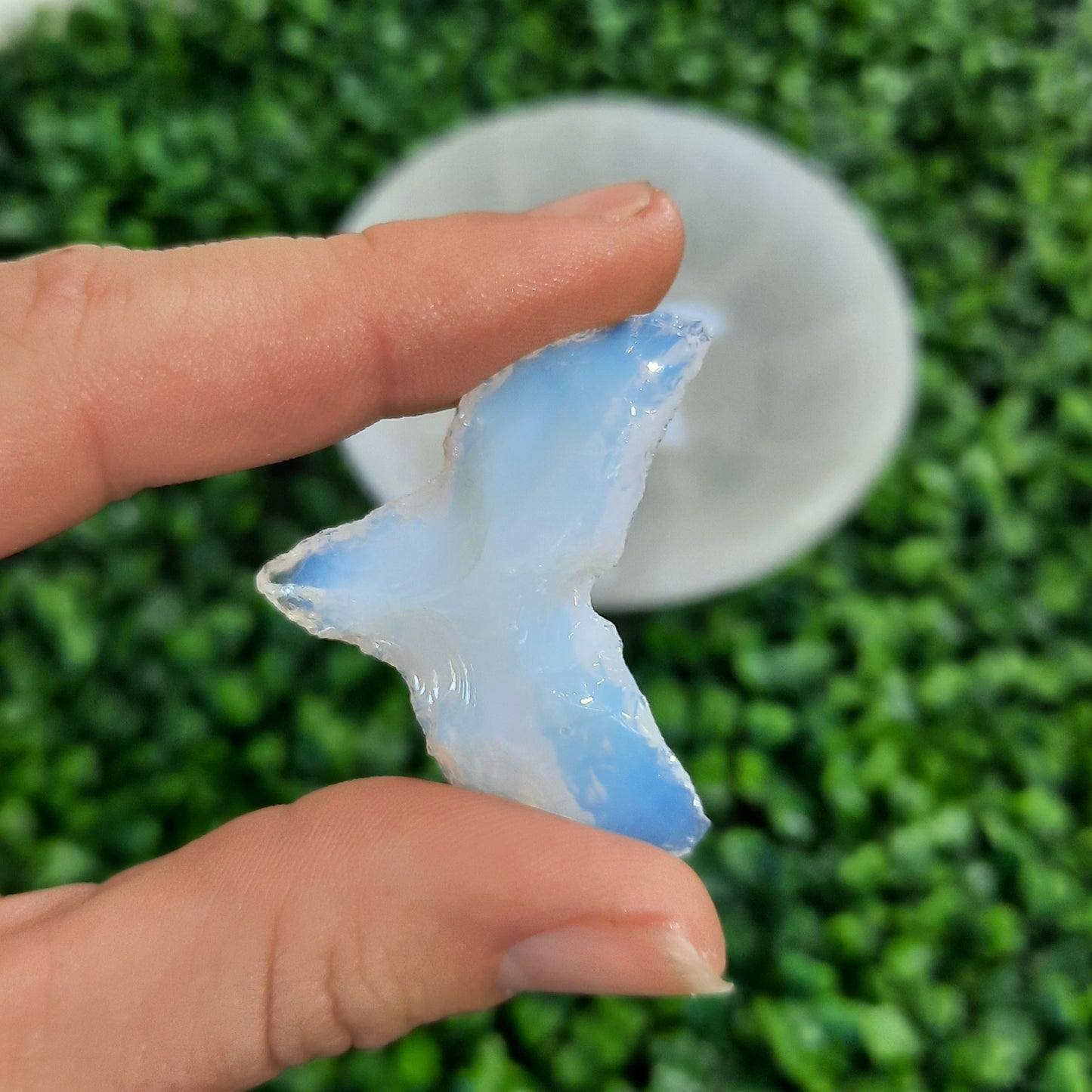 Opalite Whale Tails