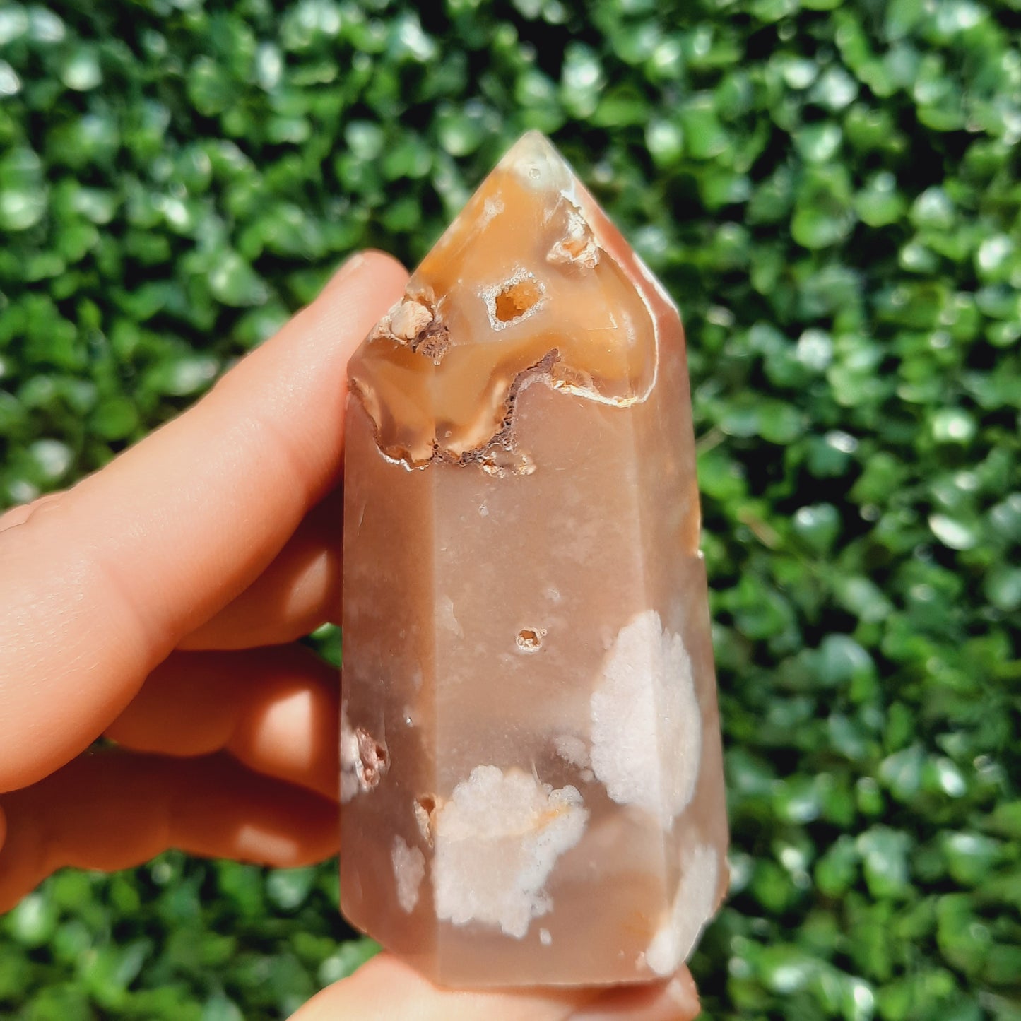 Flower Agate Point