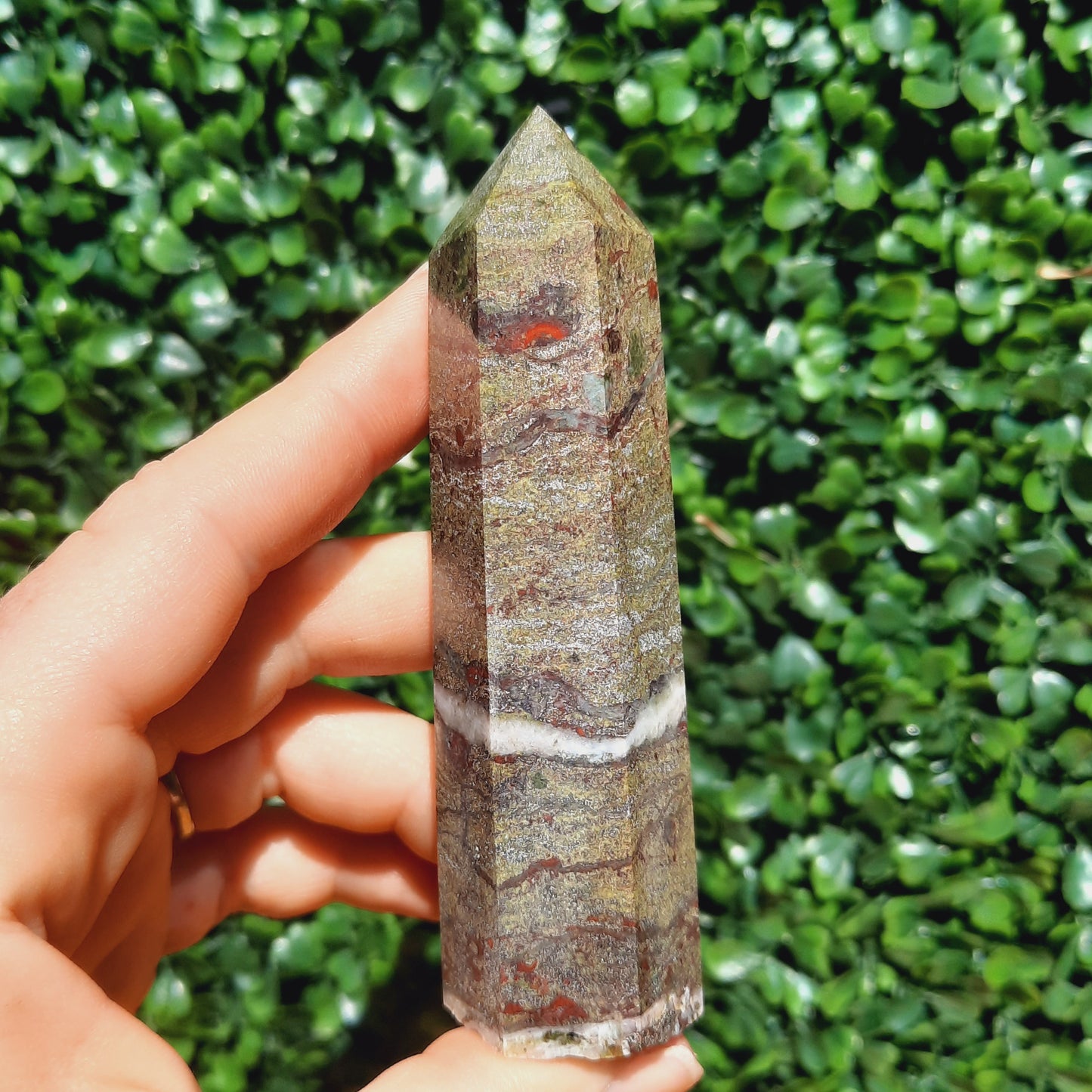 Dragons Blood Point