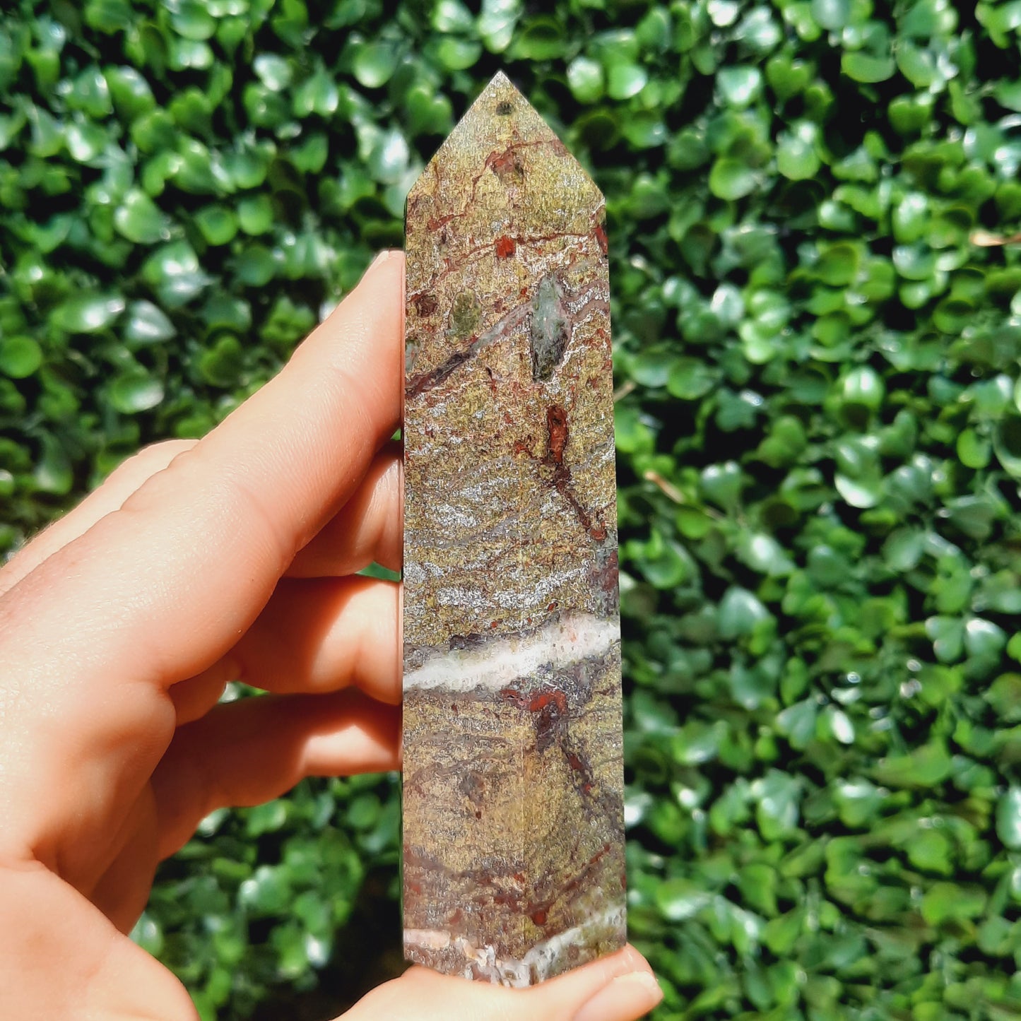 Dragons Blood Point