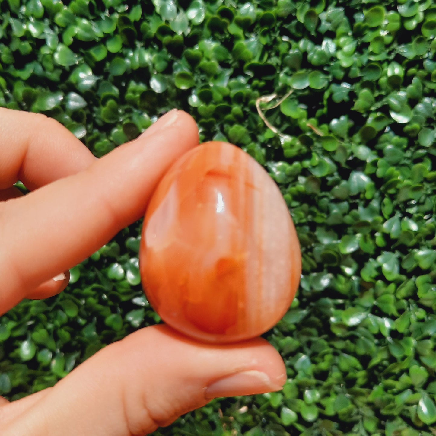 Carnelian Eggs