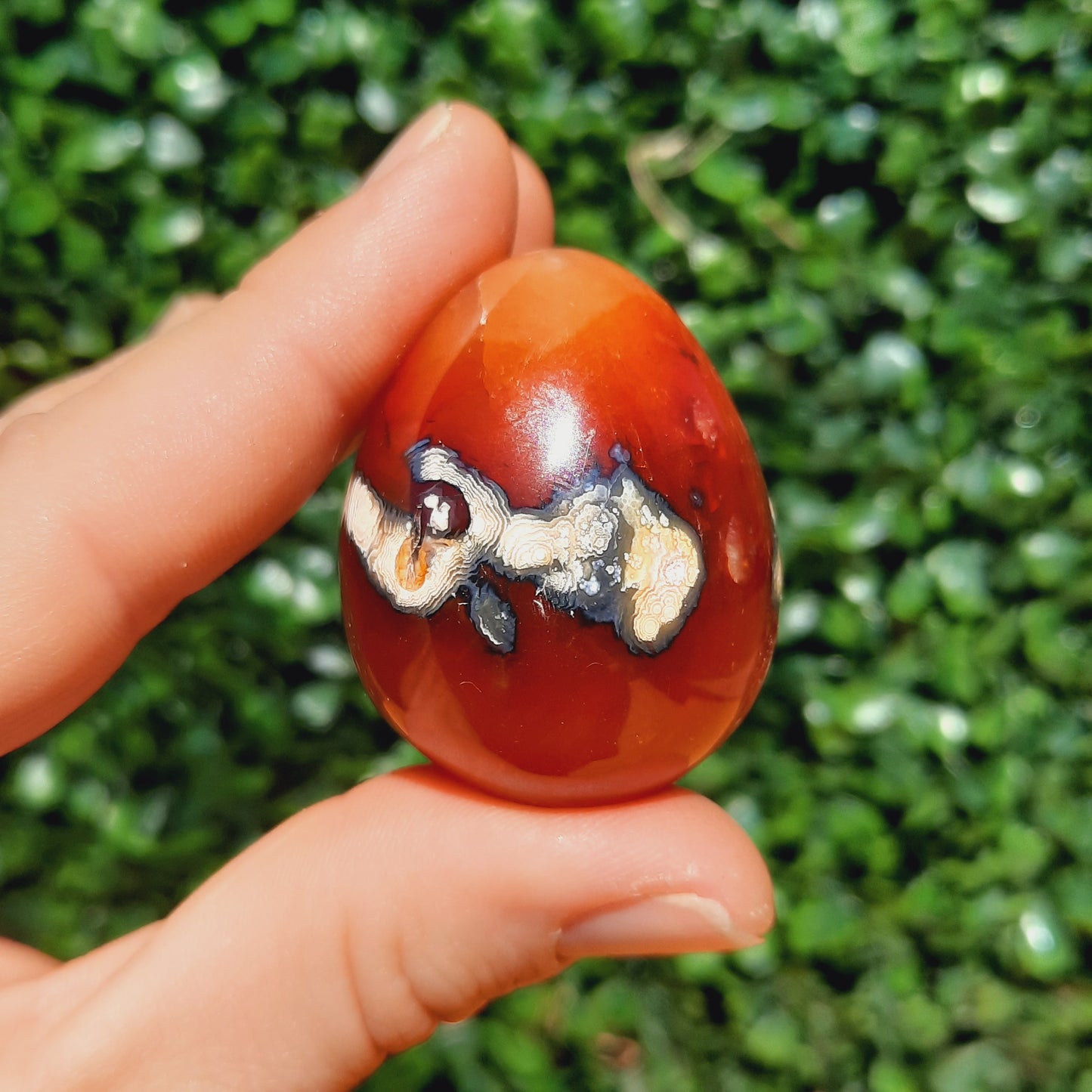 Carnelian Eggs