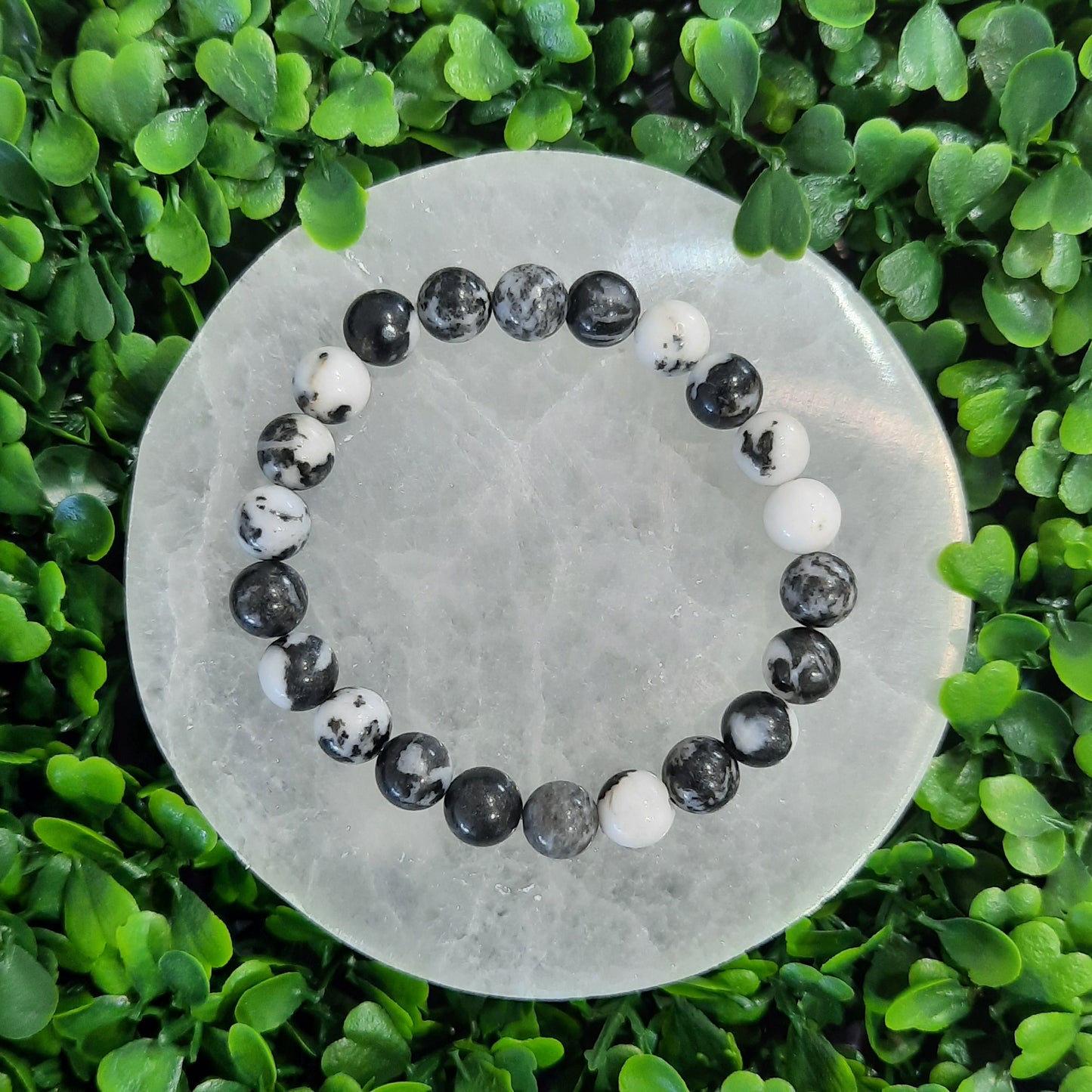 Zebra Agate Bracelet - 8mm