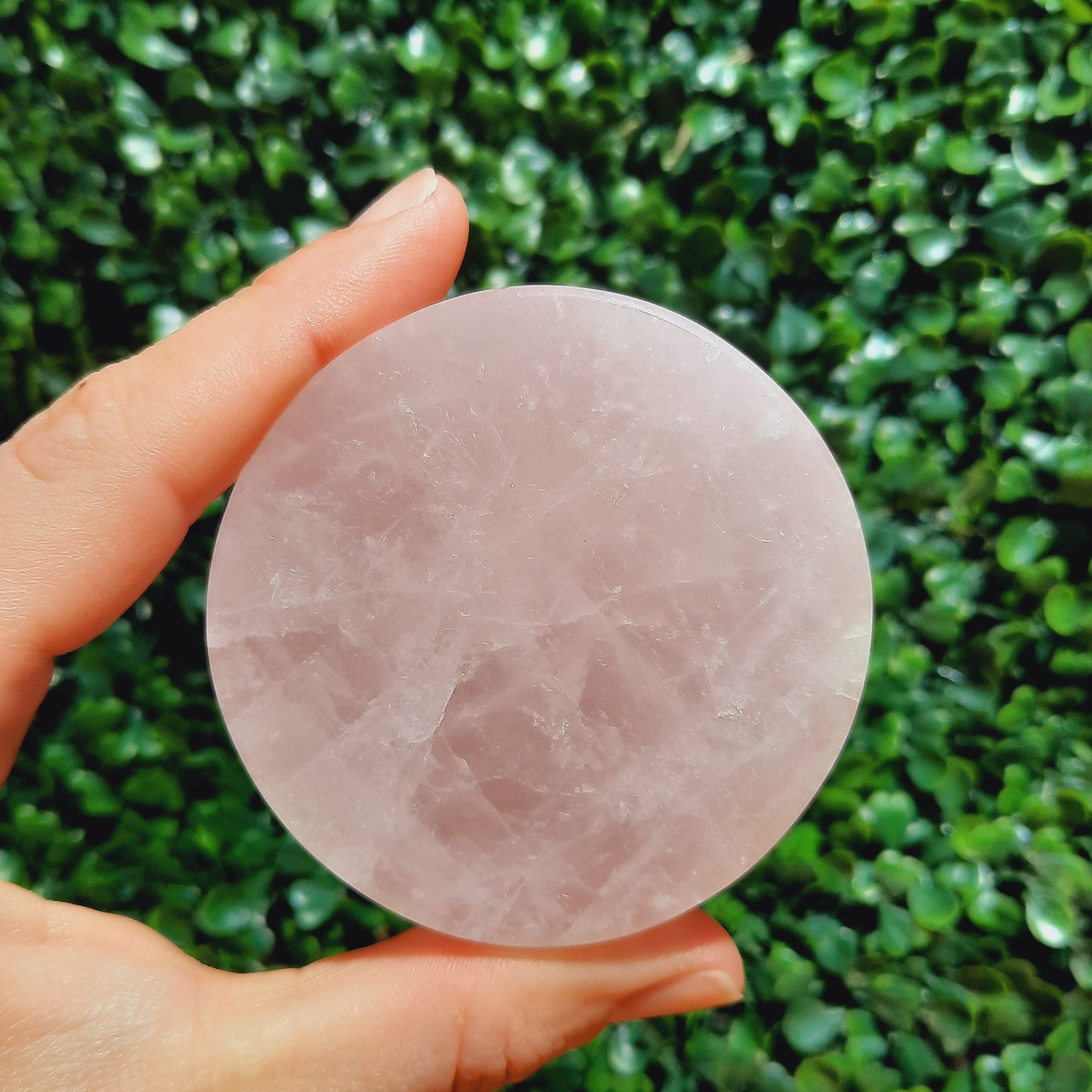 Rose Quartz Discs