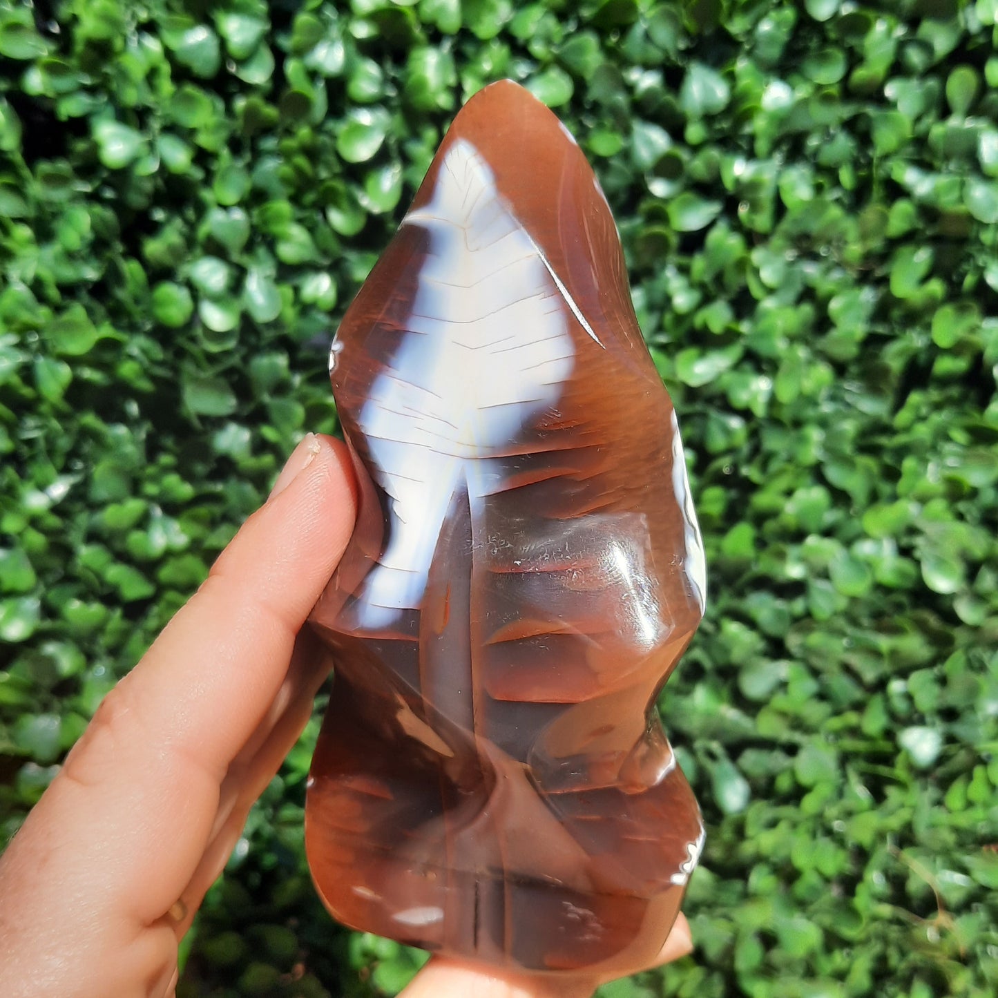 Red Orca Agate Flame