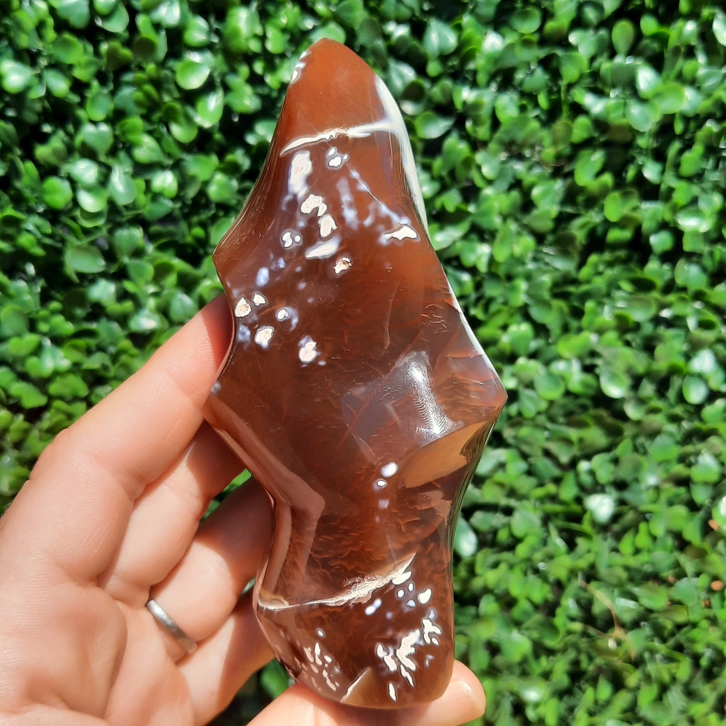 Red Orca Agate Flame