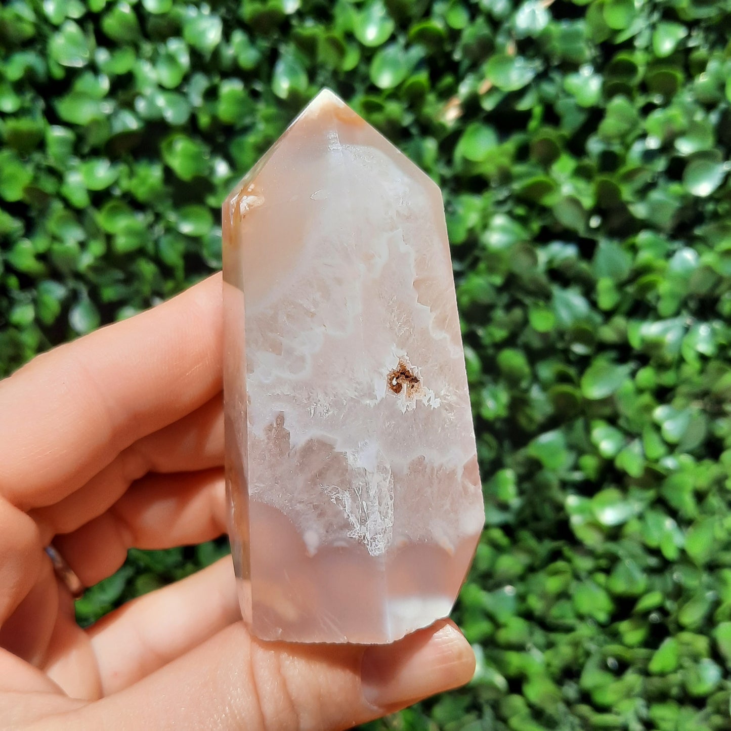 Flower Agate Point