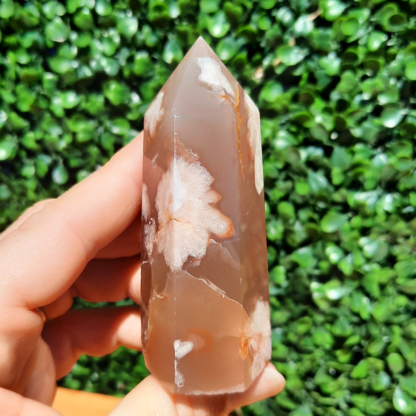 Flower Agate Point