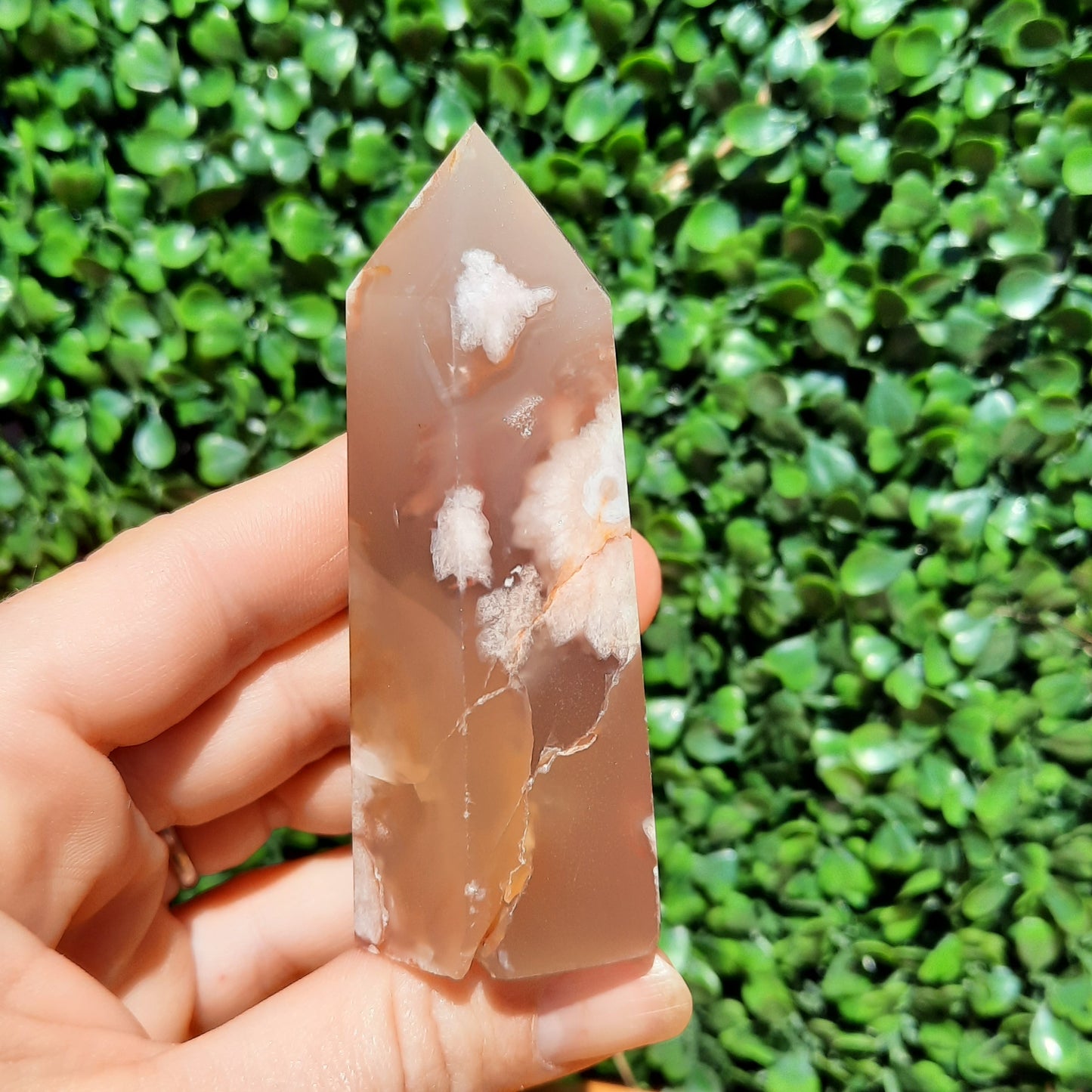 Flower Agate Point