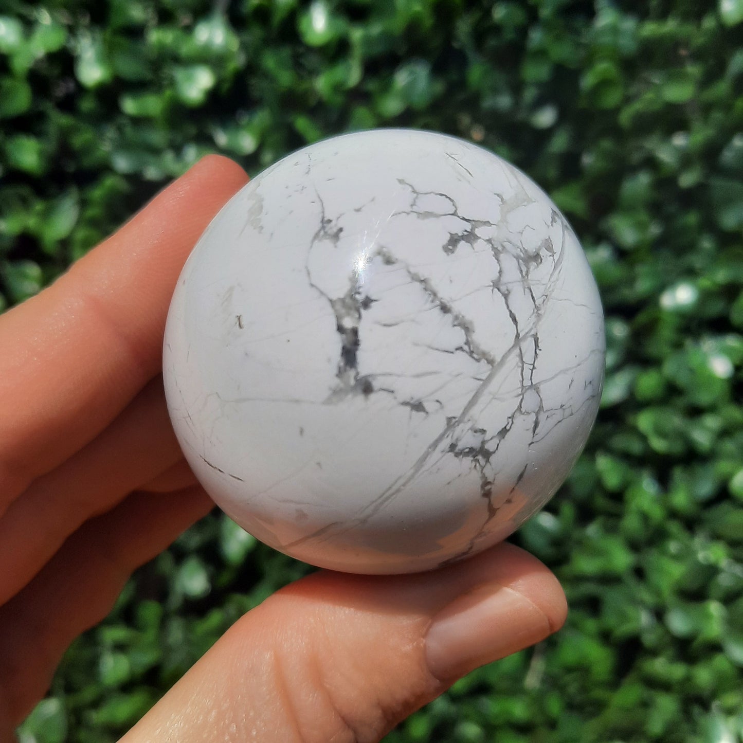 Howlite Sphere