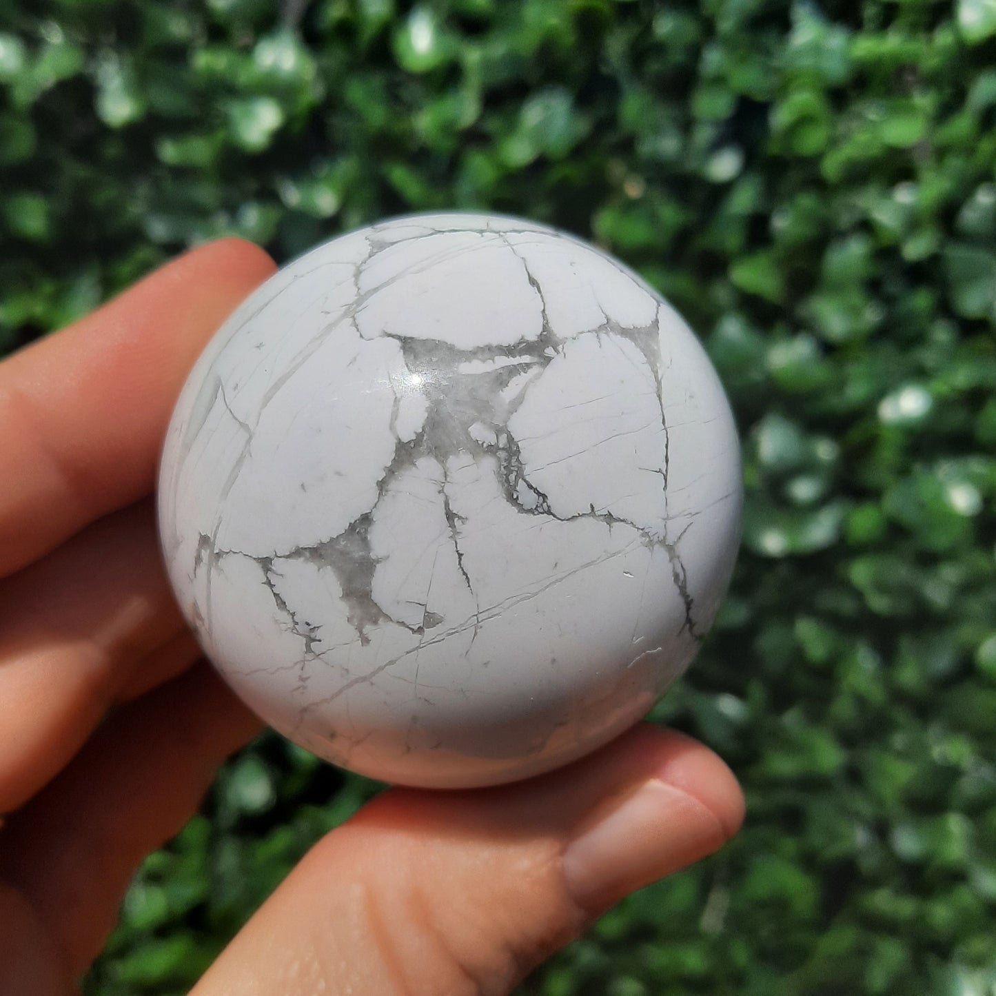 Howlite Sphere