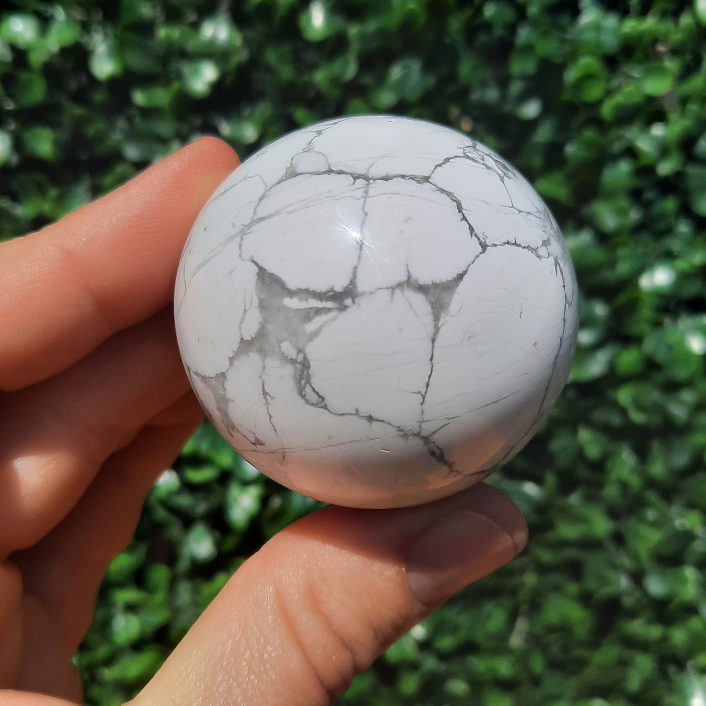 Howlite Sphere