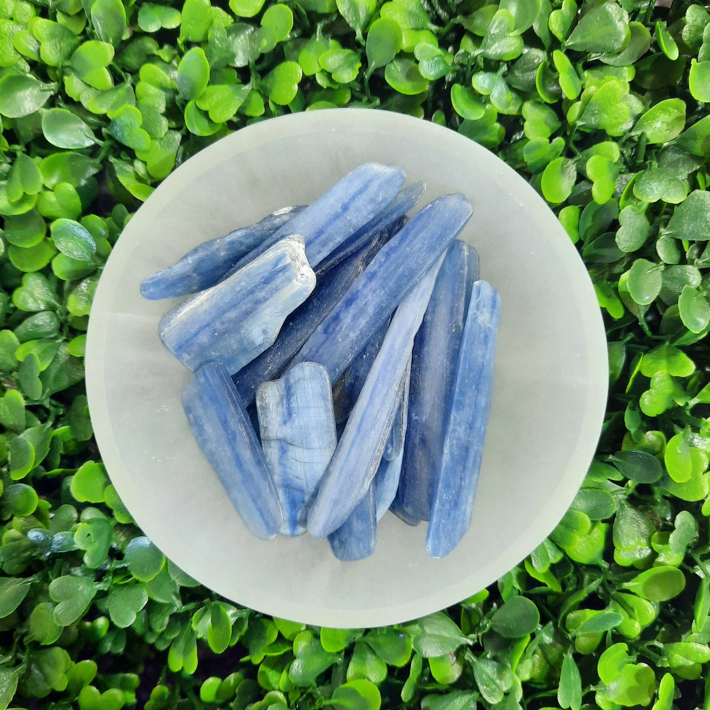 Kyanite Blade Bag 100g