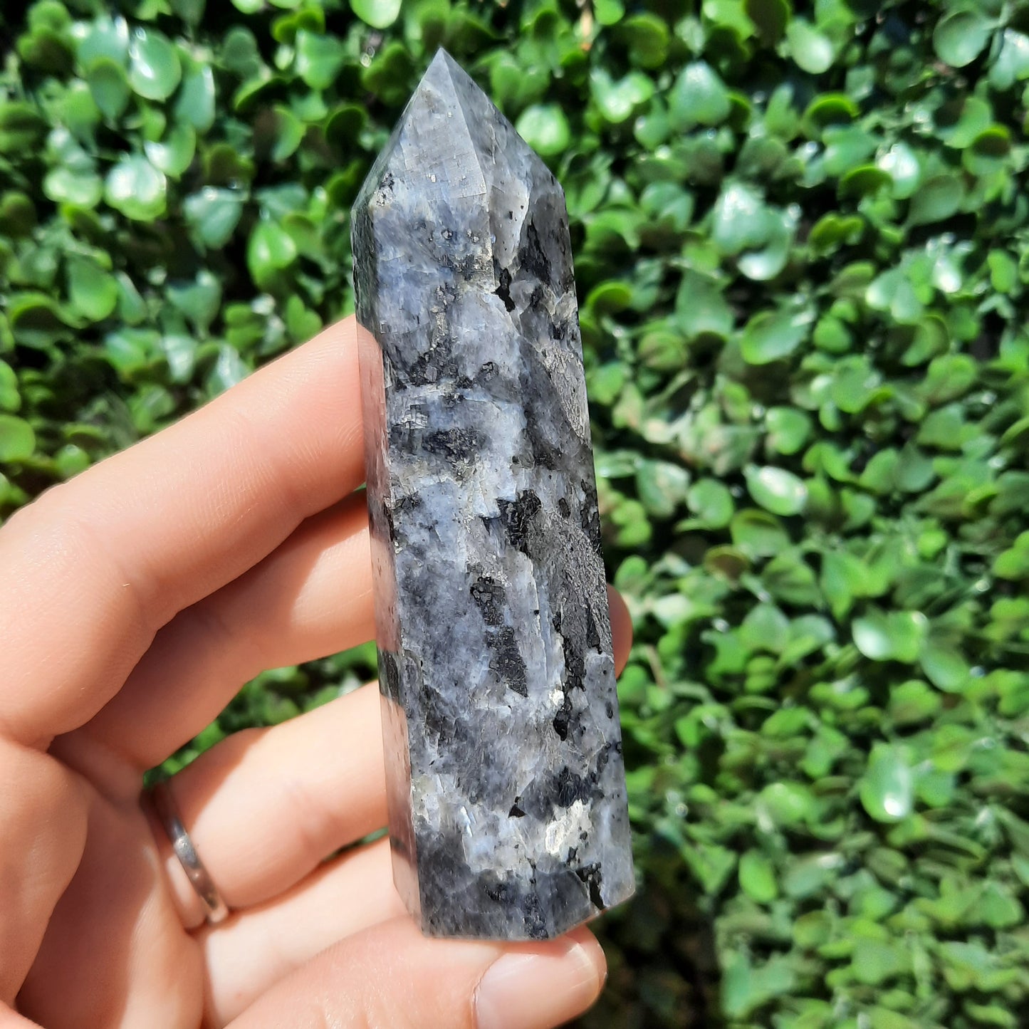 Larvikite Norwegian Moonstone Point's