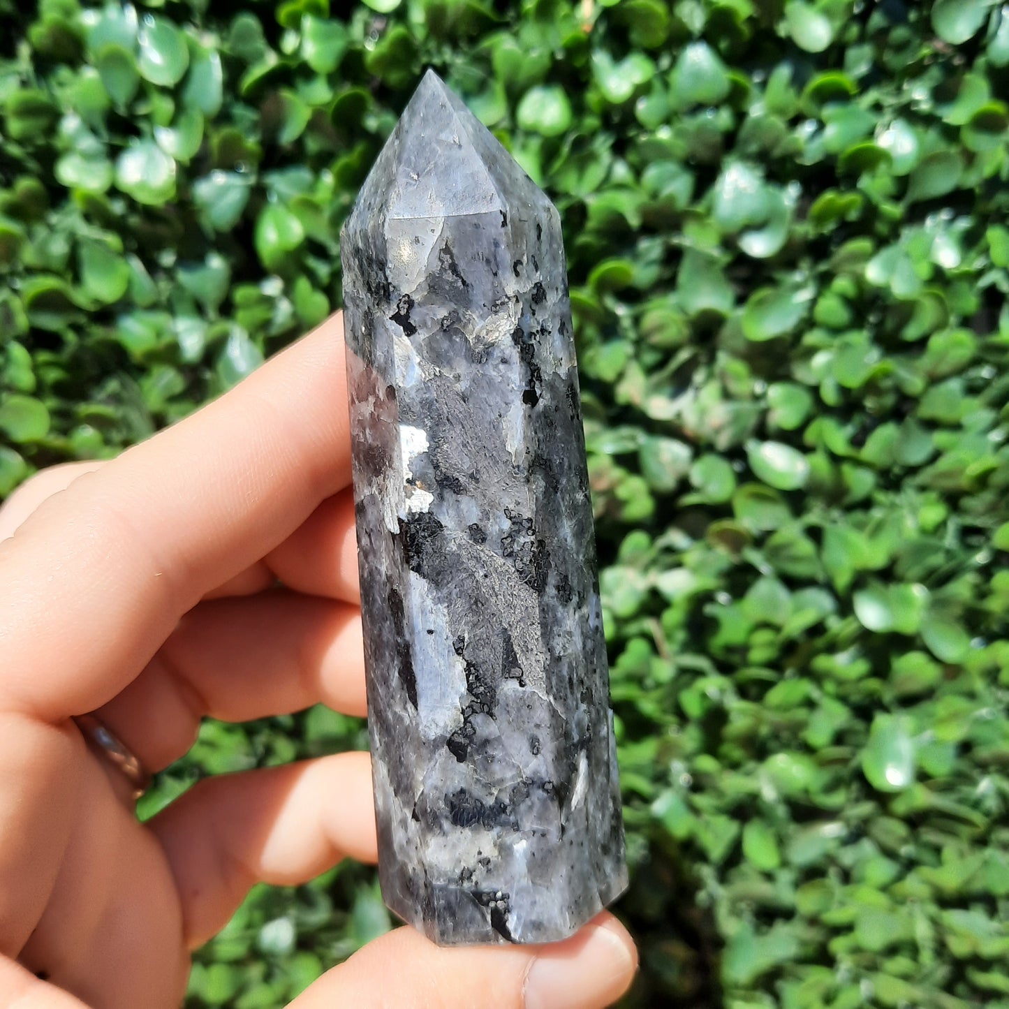 Larvikite Norwegian Moonstone Point's