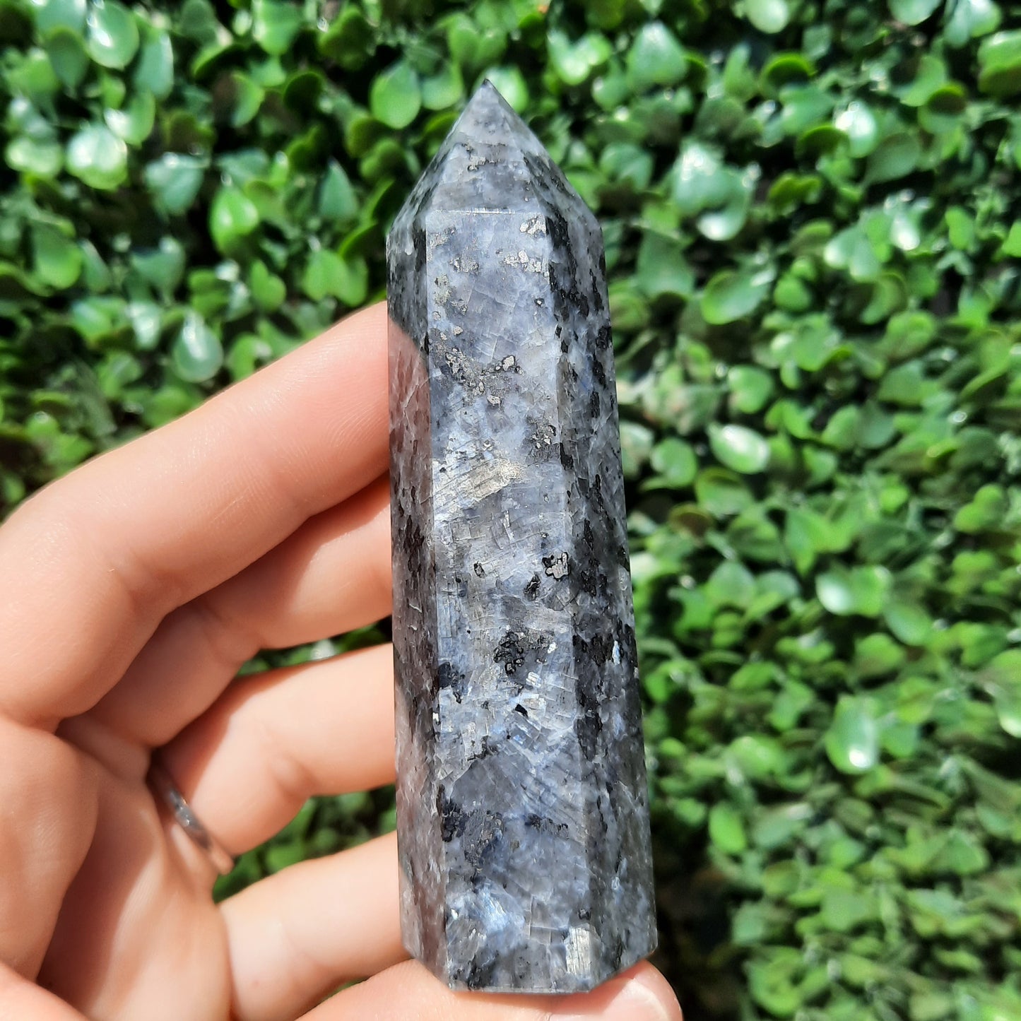 Larvikite Norwegian Moonstone Point's