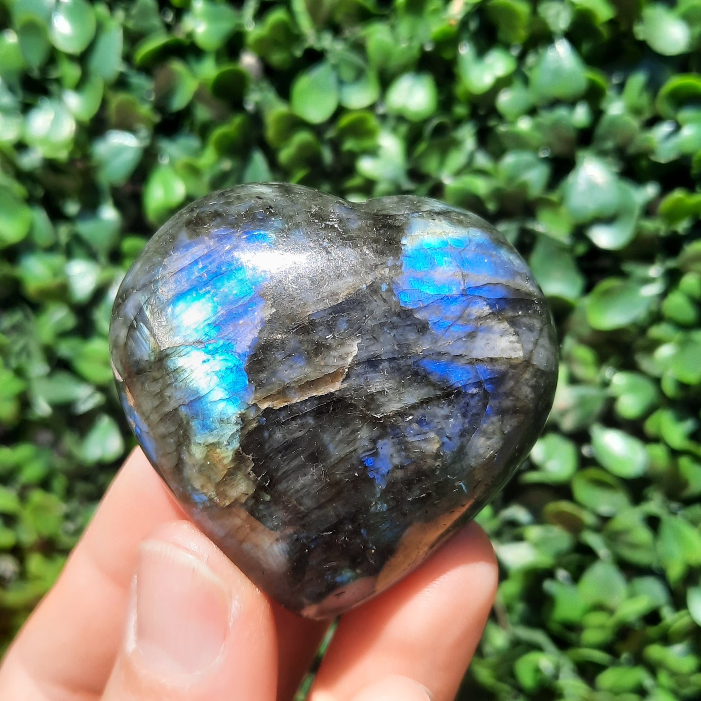 Labradorite Heart’s