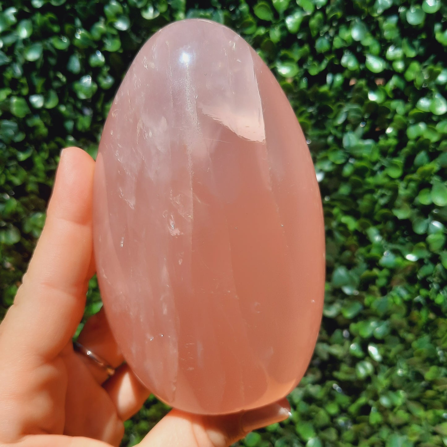 Rose Quartz Free Form