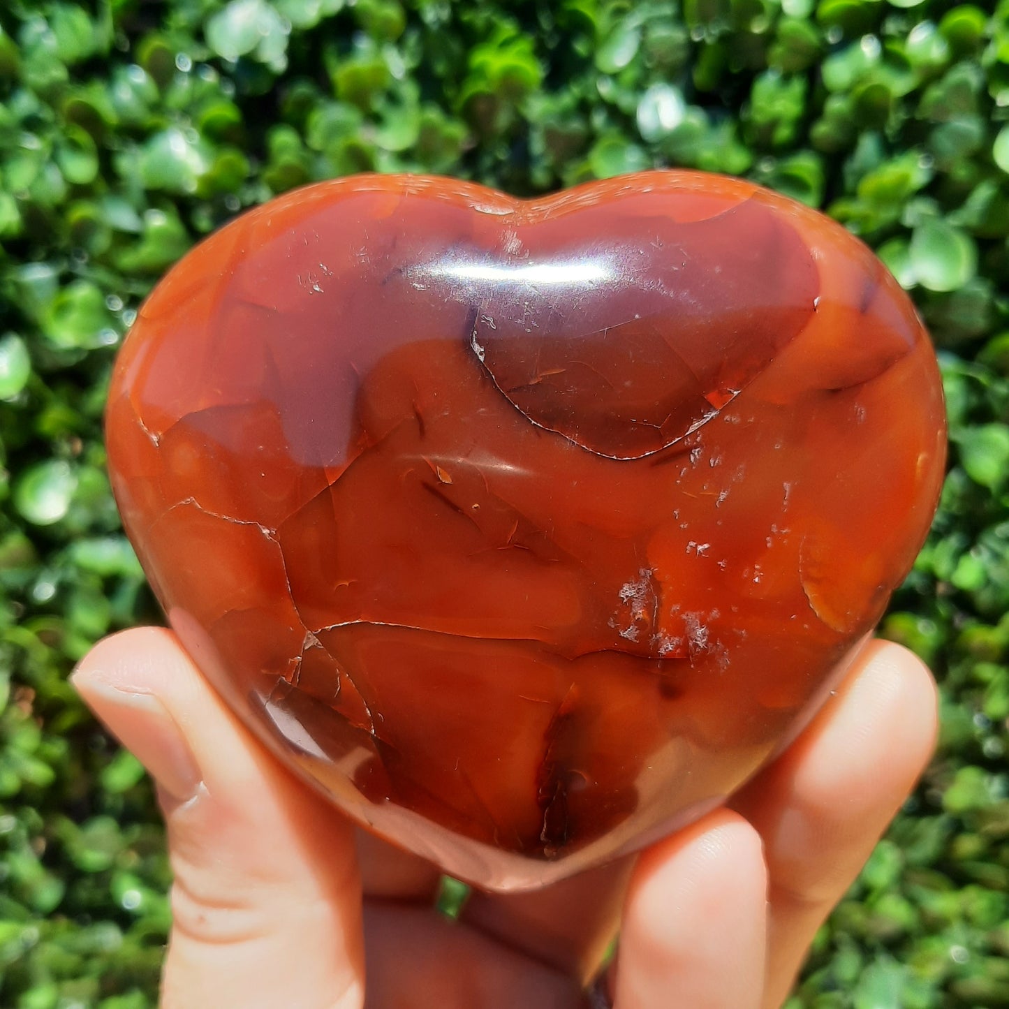 Carnelian Heart