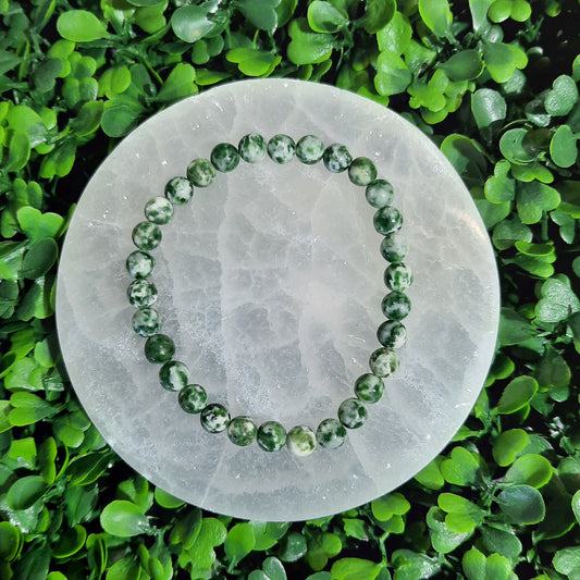Tree Jasper Bracelet - 6mm