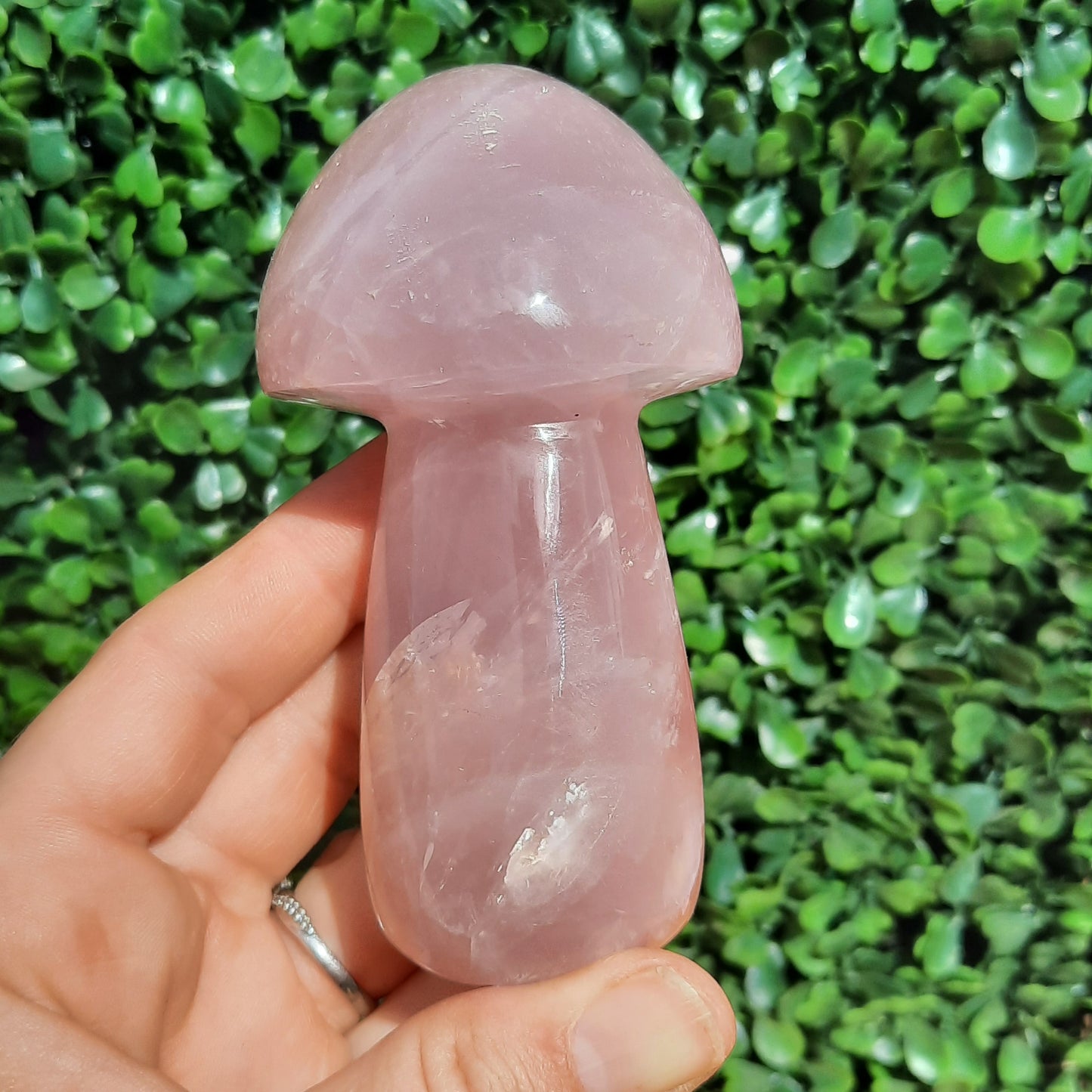 Rose Quartz Mushroom