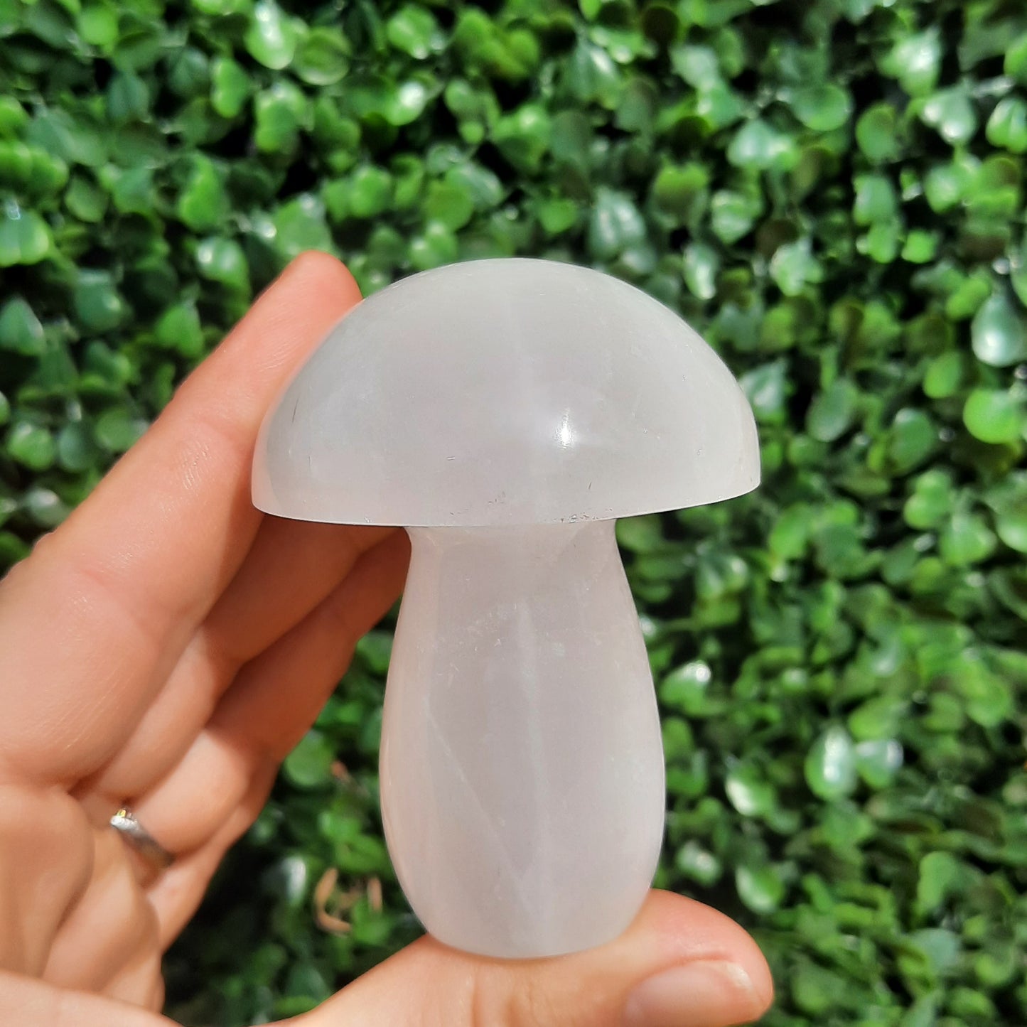 Snow Quartz Mushroom