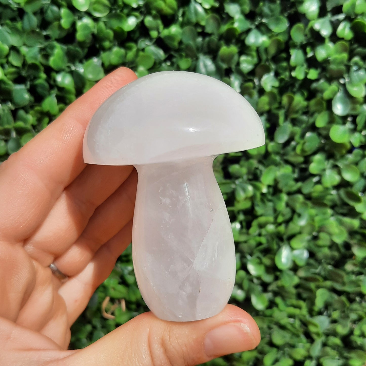 Snow Quartz Mushroom