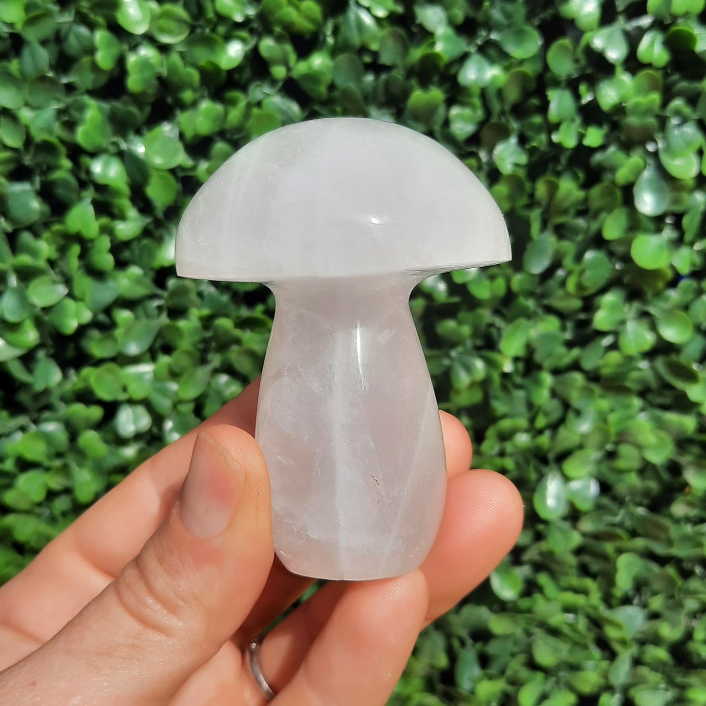 Snow Quartz Mushroom