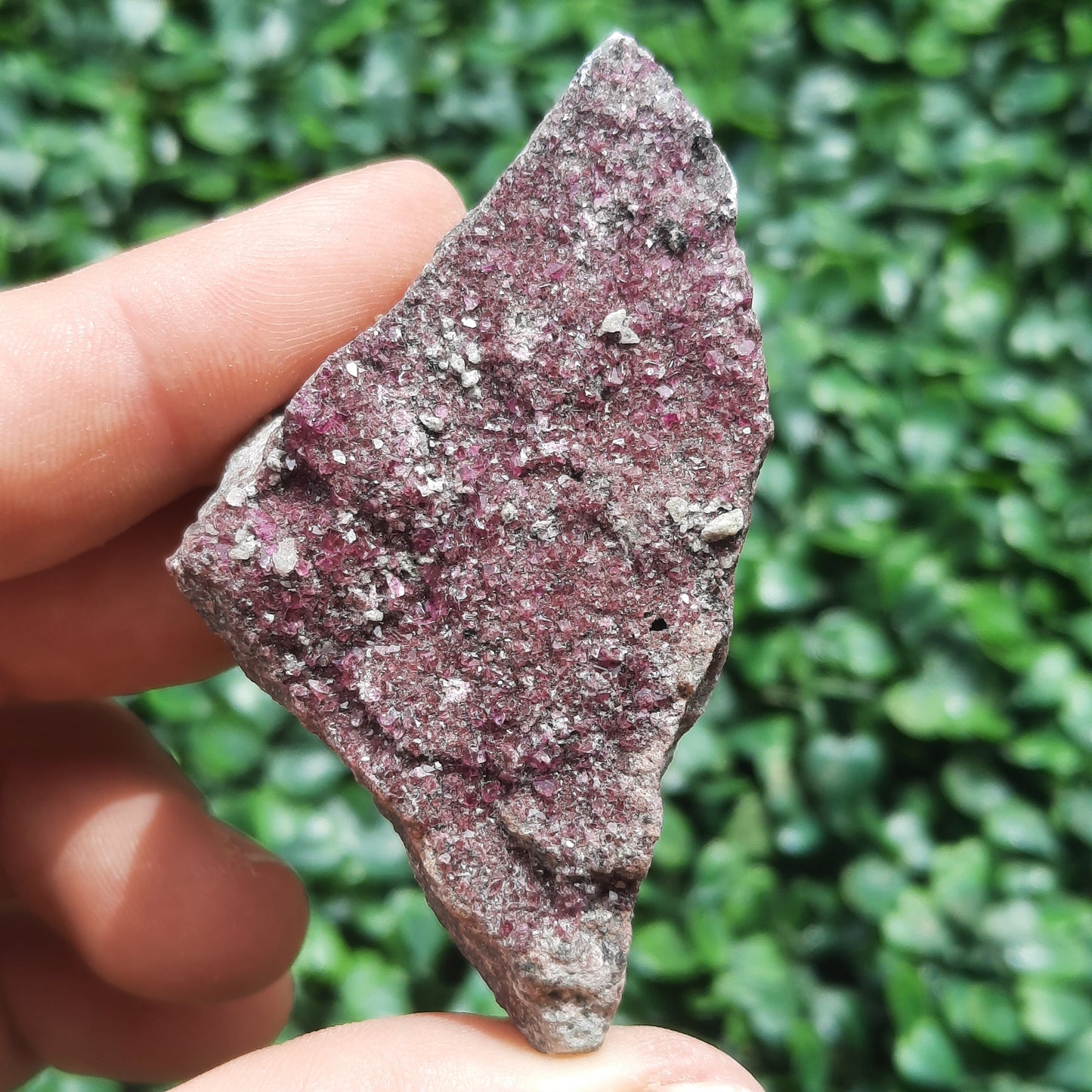 Cobalto Calcite Crystal Specimen