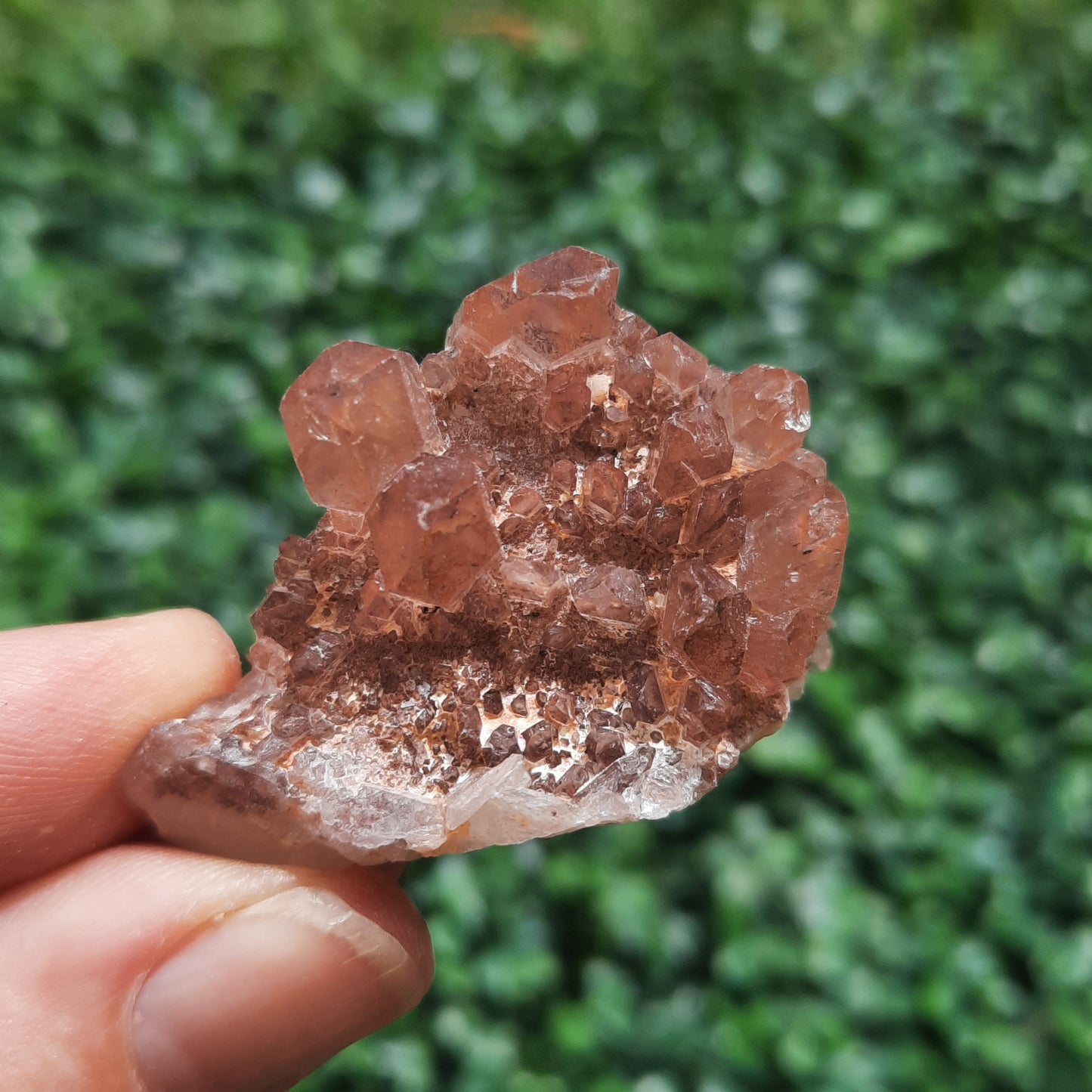 Red Quartz Specimen