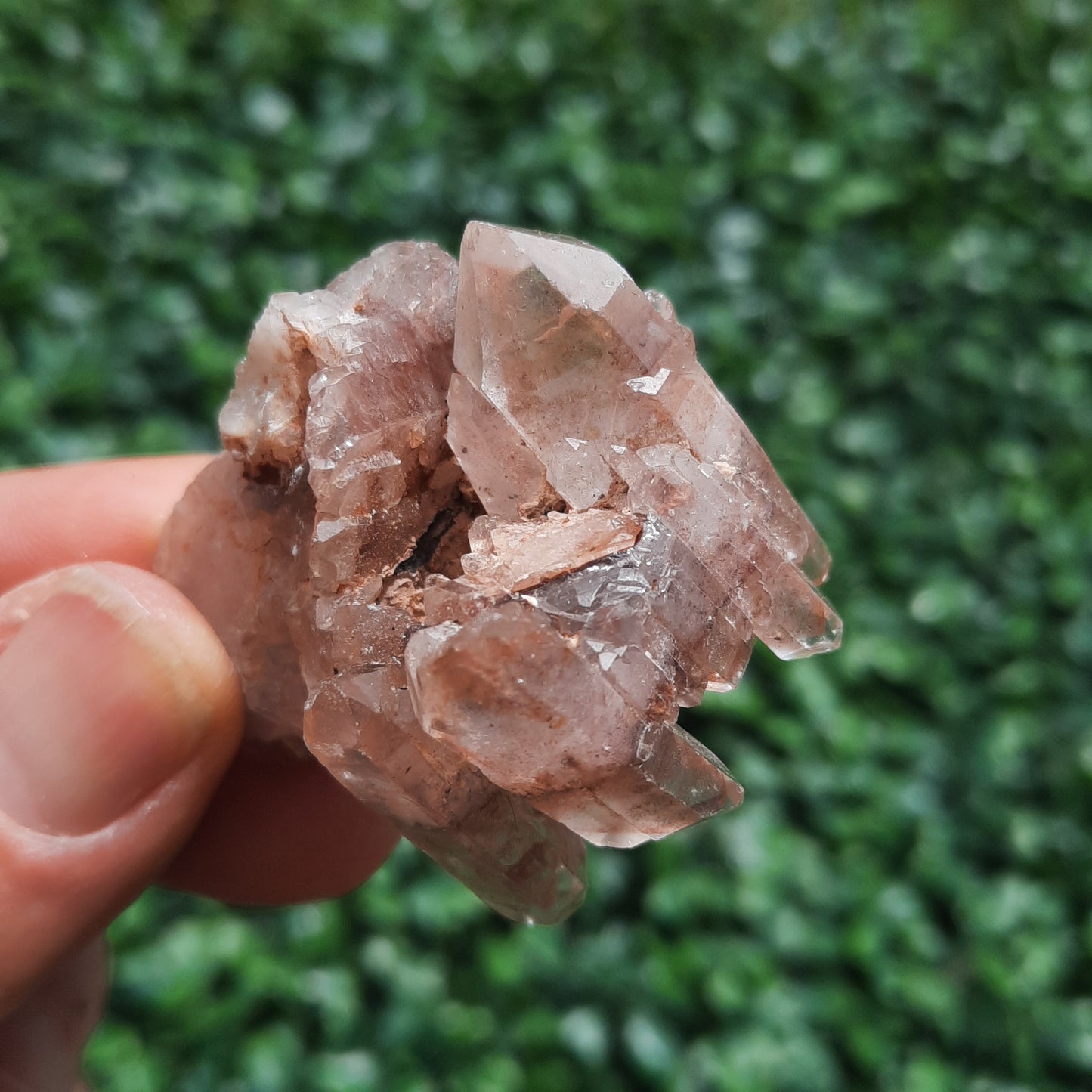 Red Quartz Specimen