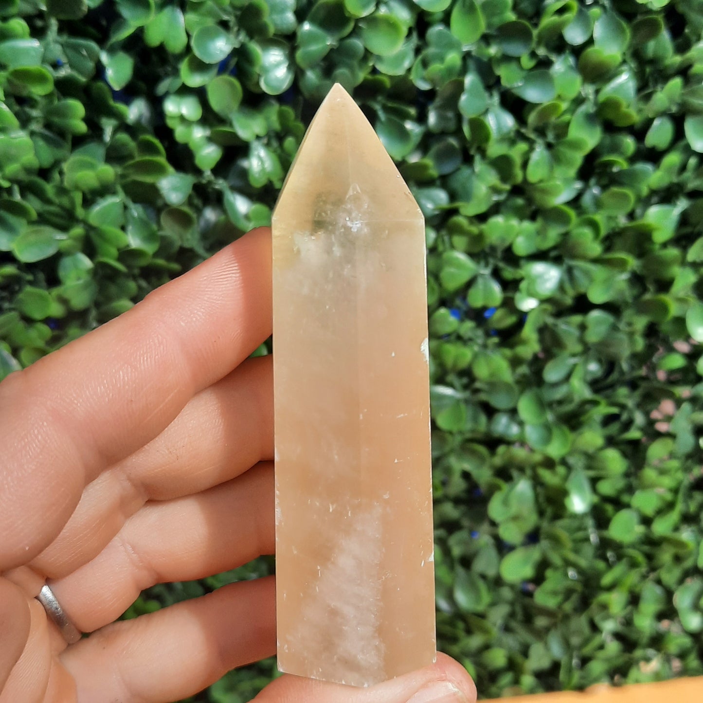 Honey Calcite Point’s