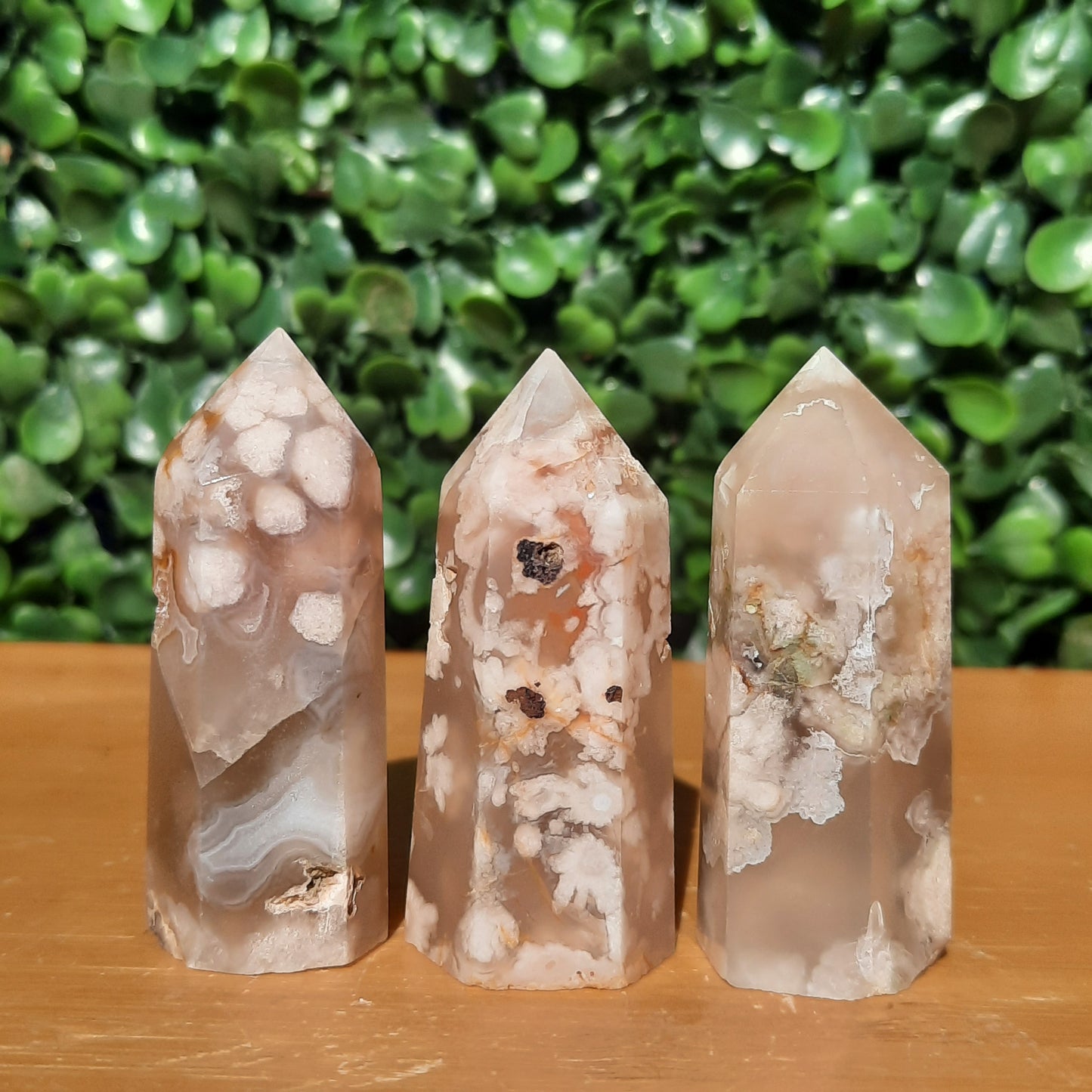 Flower Agate Mini Point’s