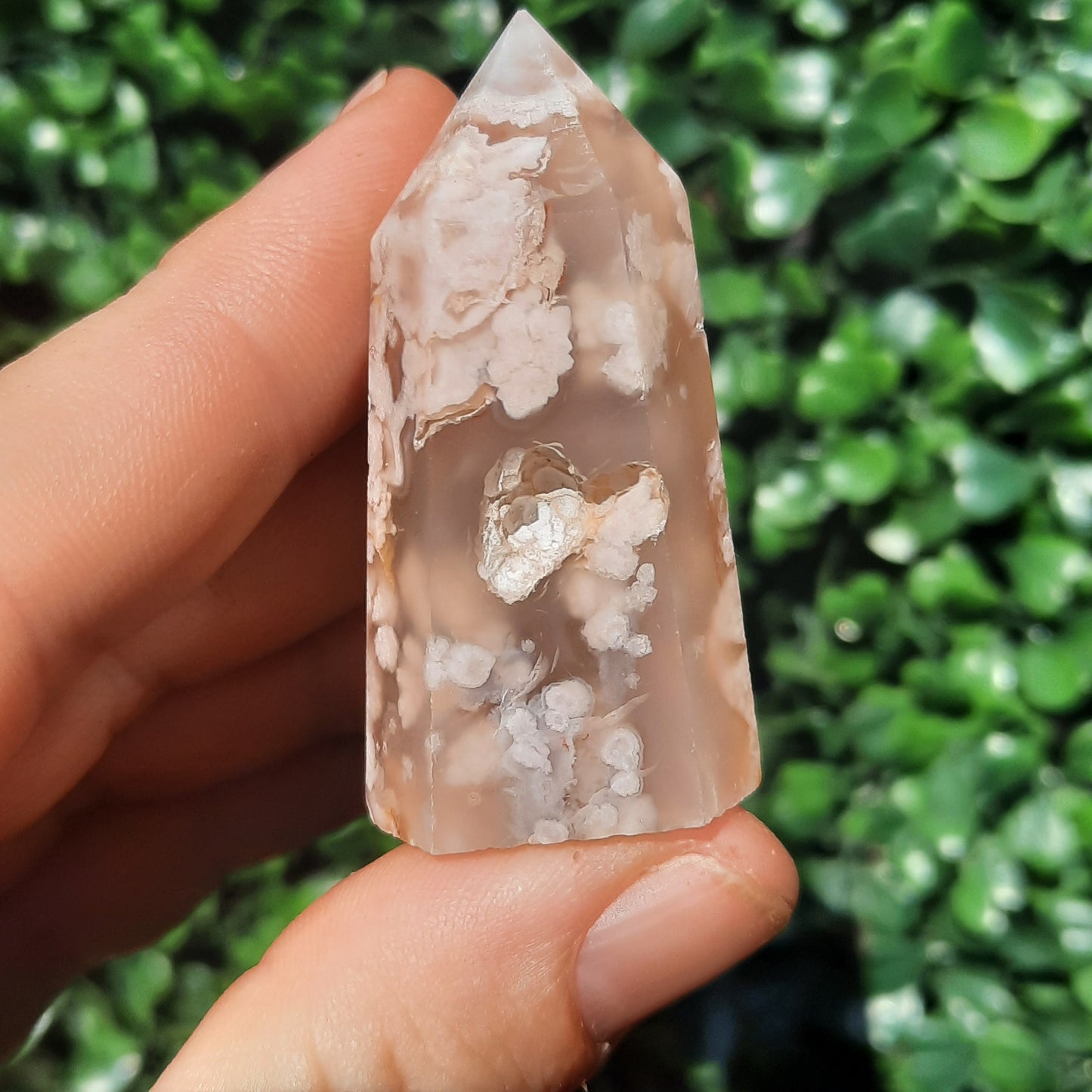 Flower Agate Mini Point’s