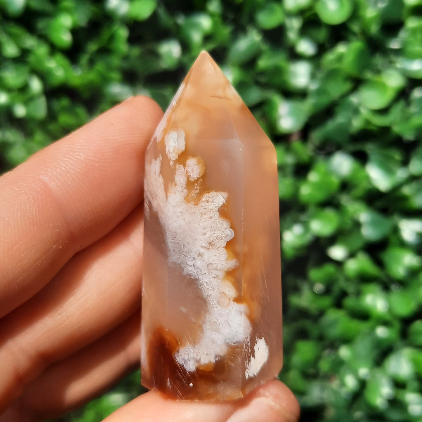 Flower Agate Mini Point’s