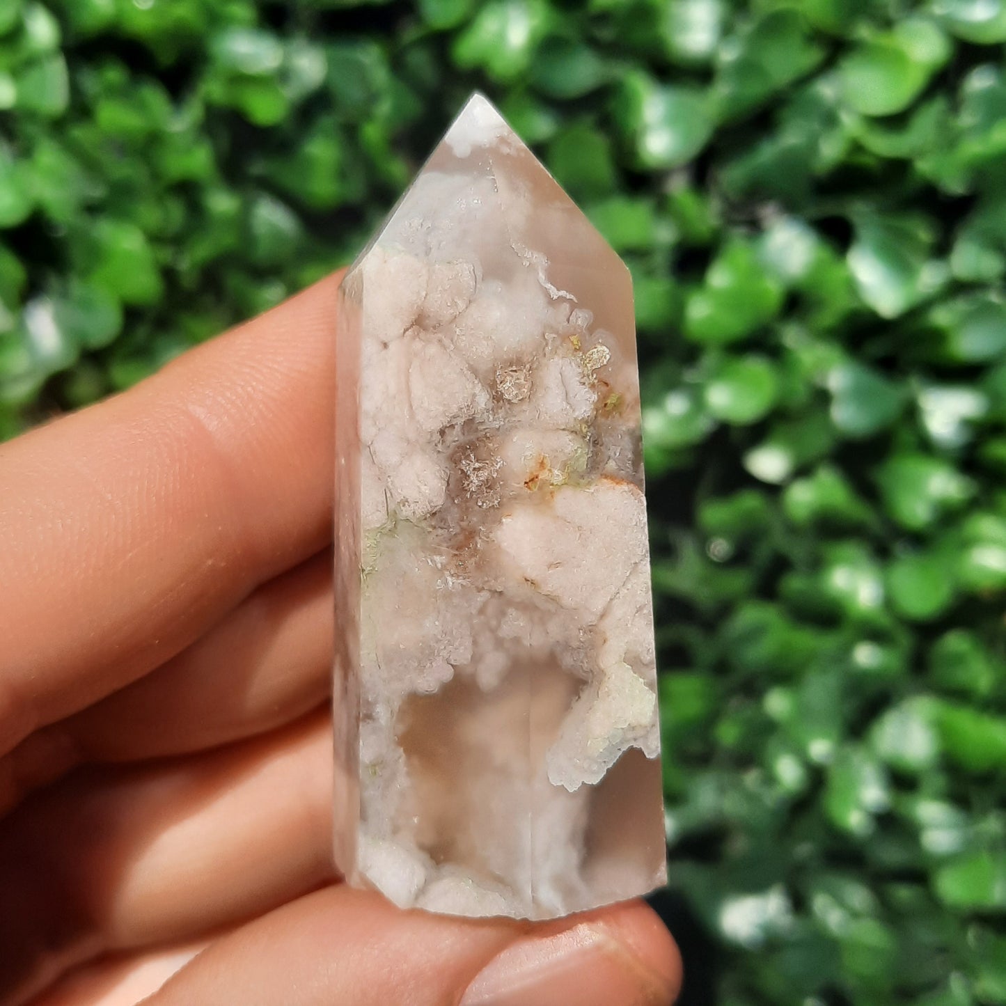 Flower Agate Mini Point’s