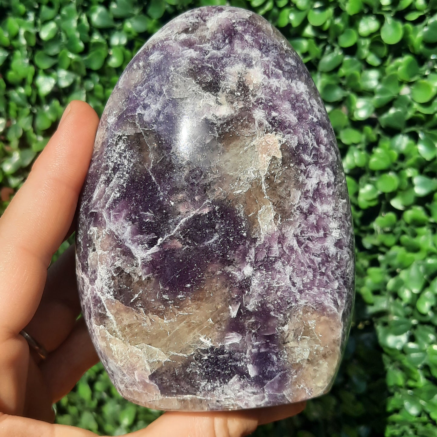 Lepidolite Unicorn Stone Free Form