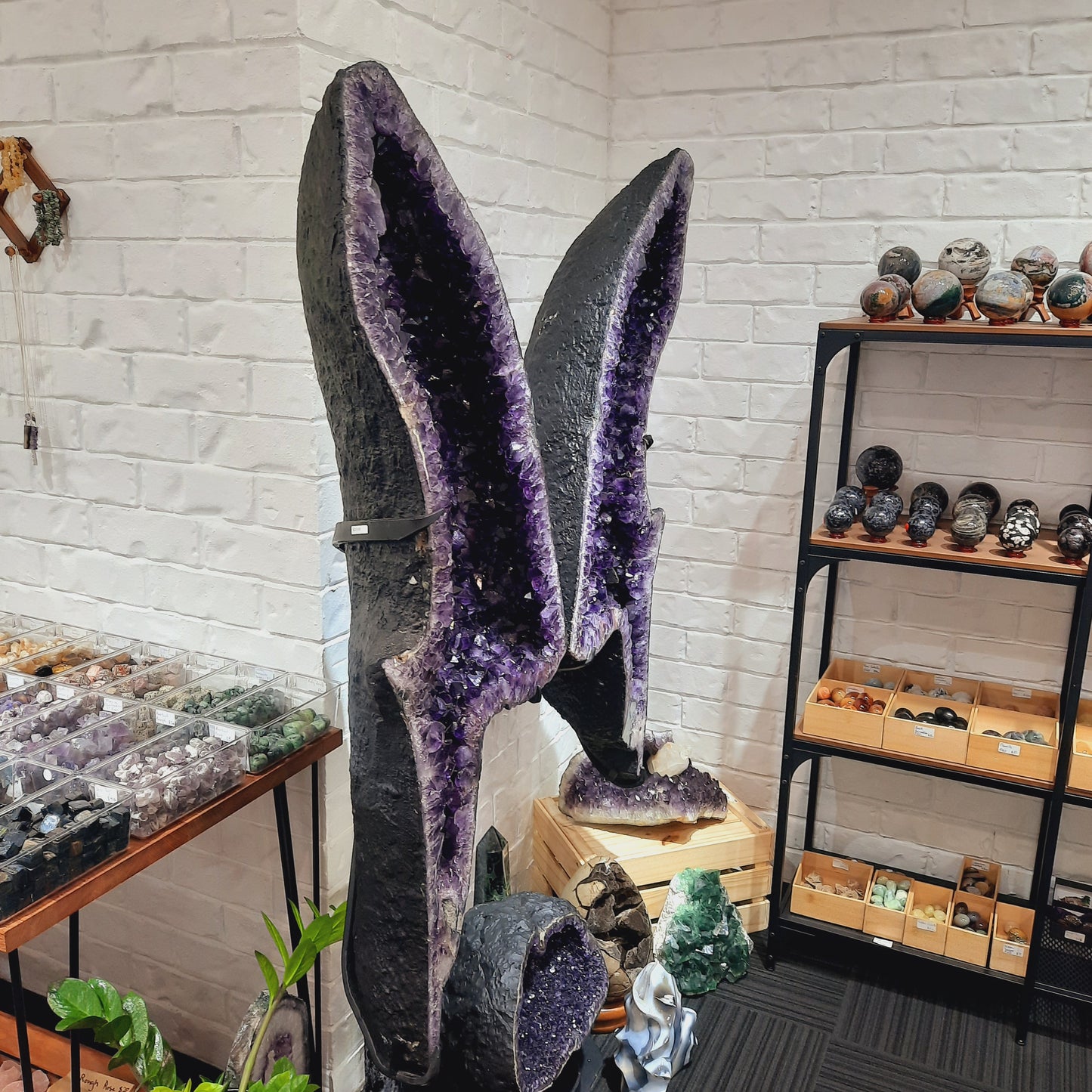 Amethyst Angel Wings (Instore Only)